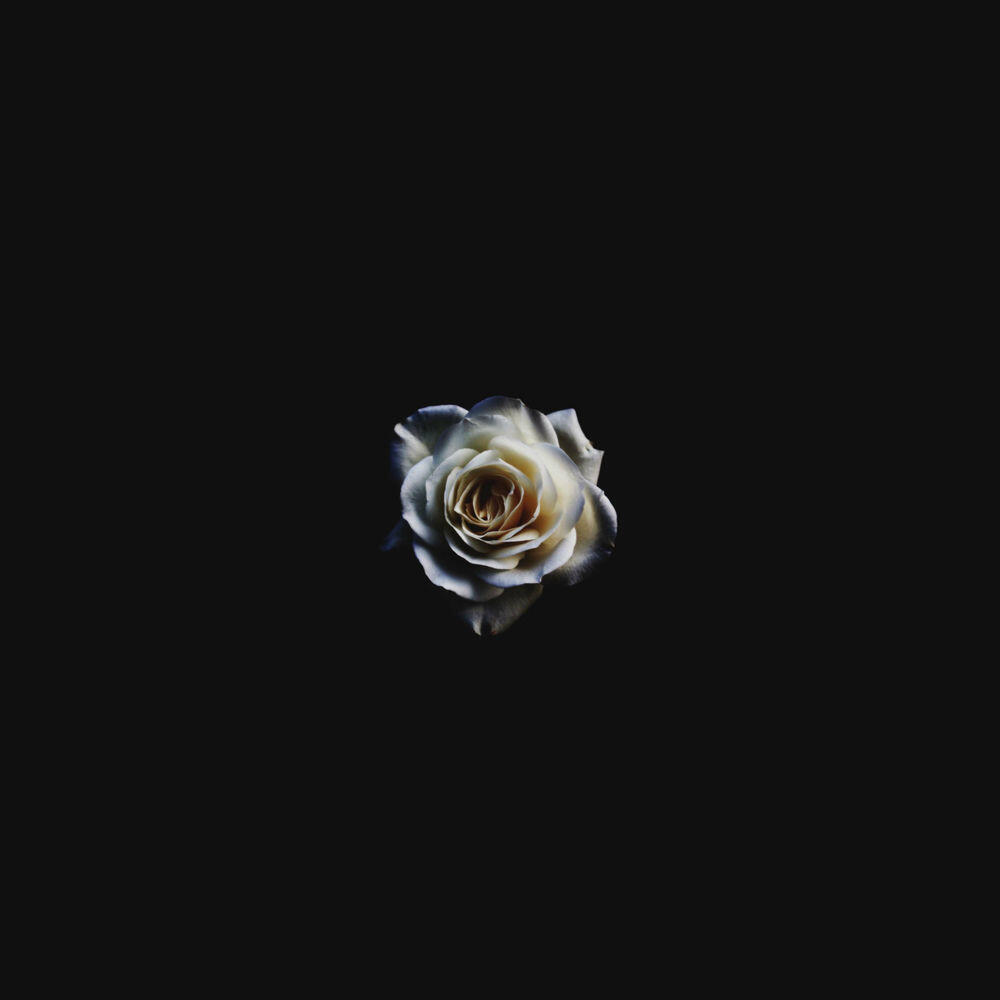 Релиз When two broken hearts met