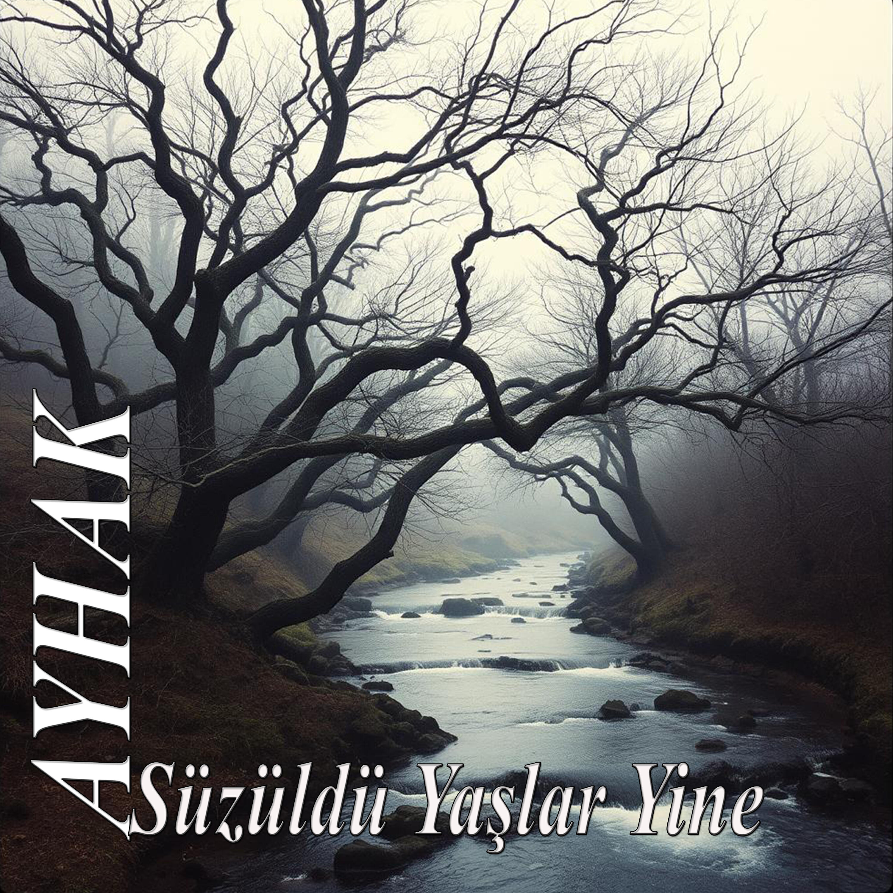 Релиз SÜZÜLDÜ YAŞLAR YİNE
