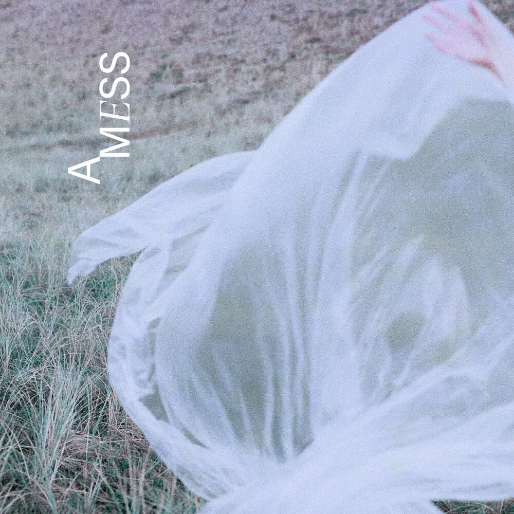 Релиз A Mess