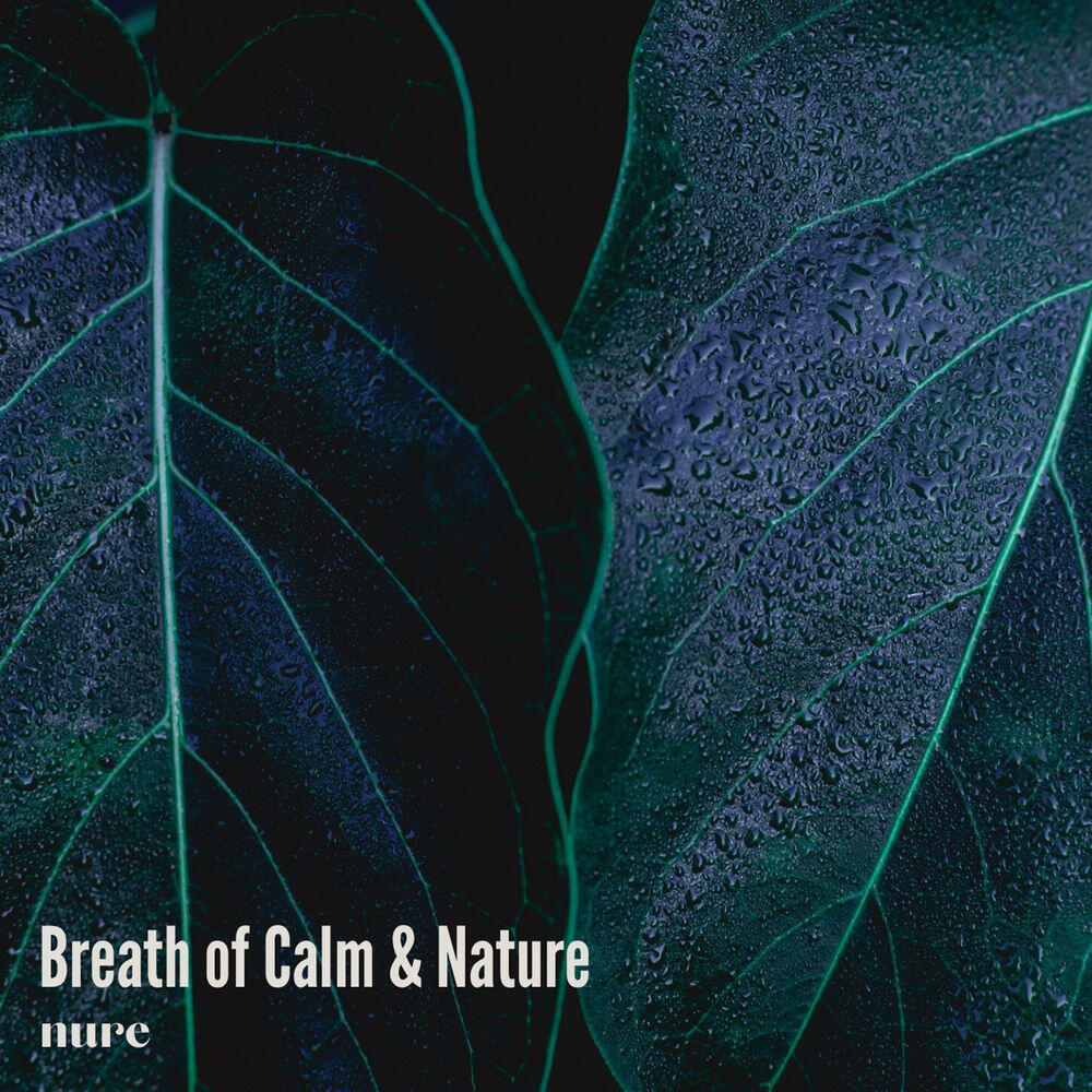 Релиз Breath of Calm & Nature