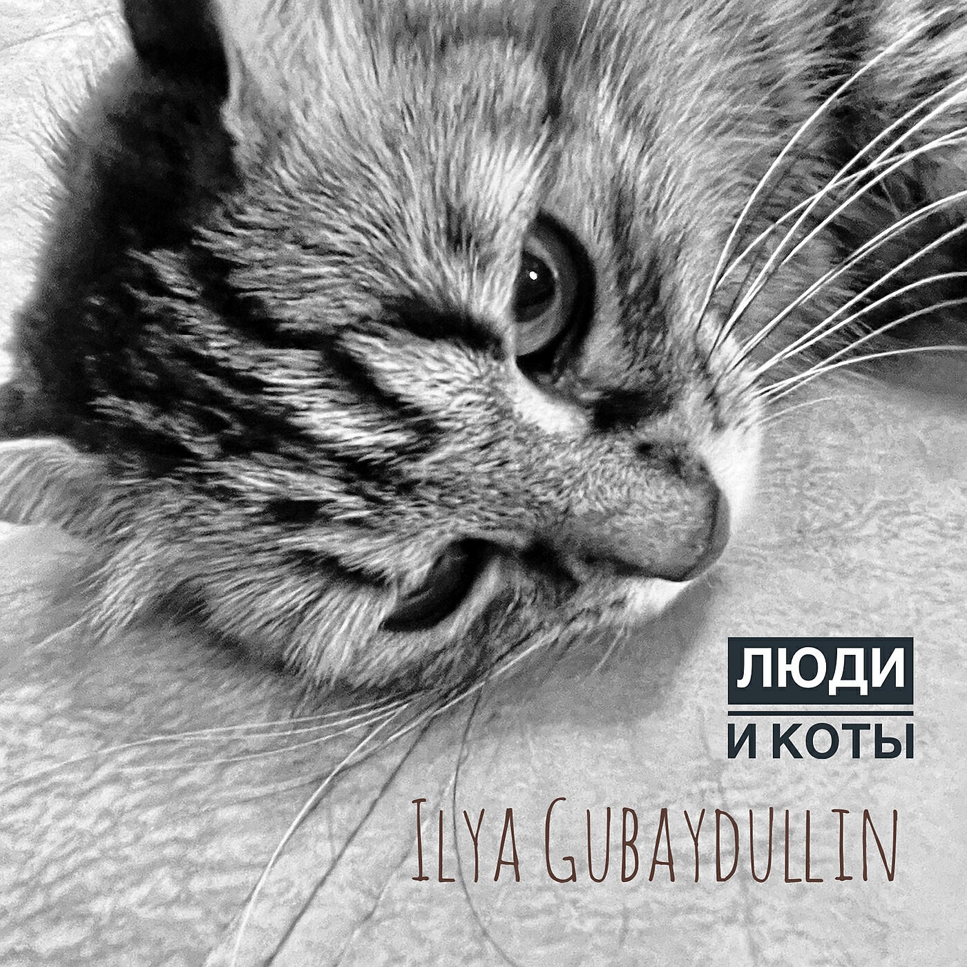 Релиз Люди и коты