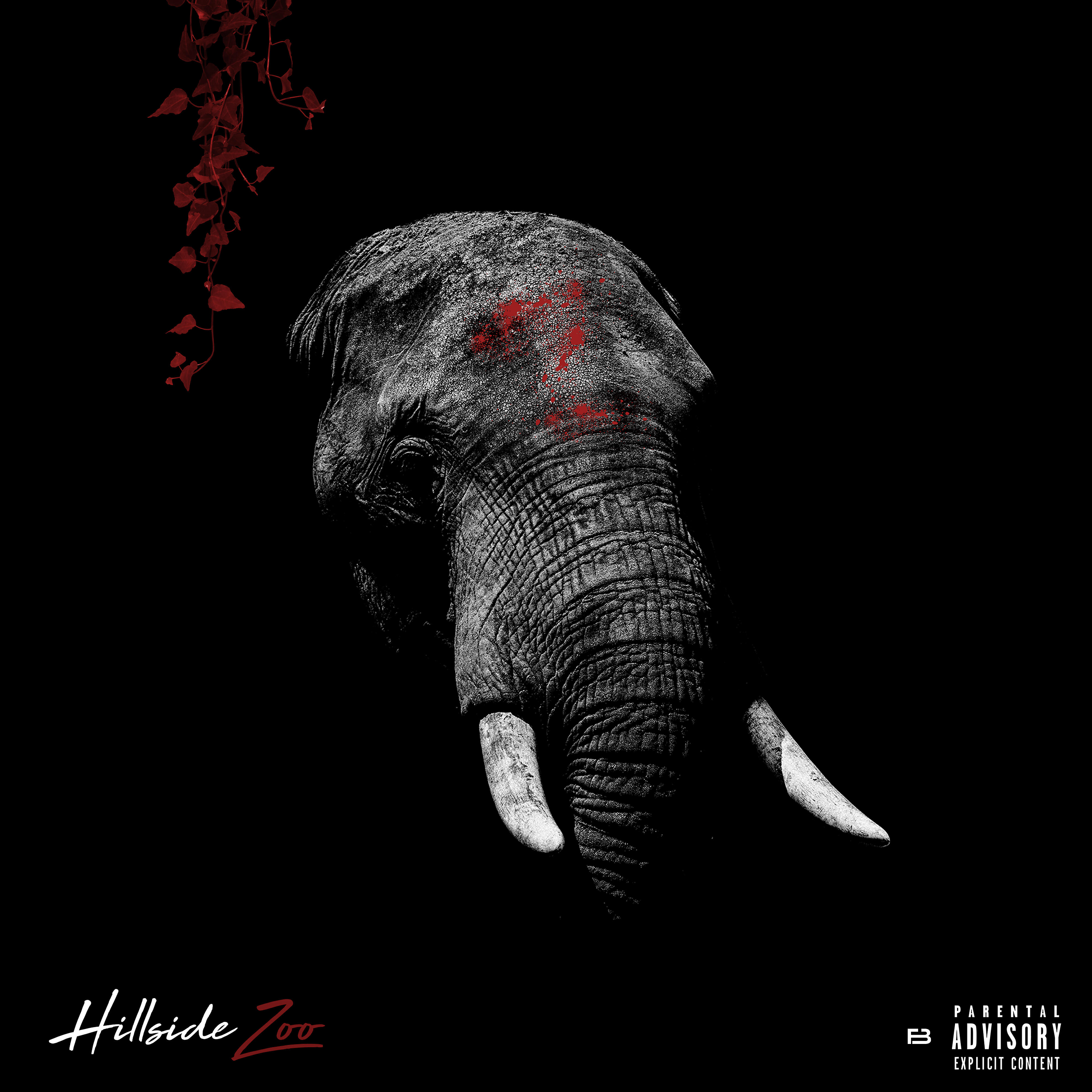 Постер альбома Hillside Zoo