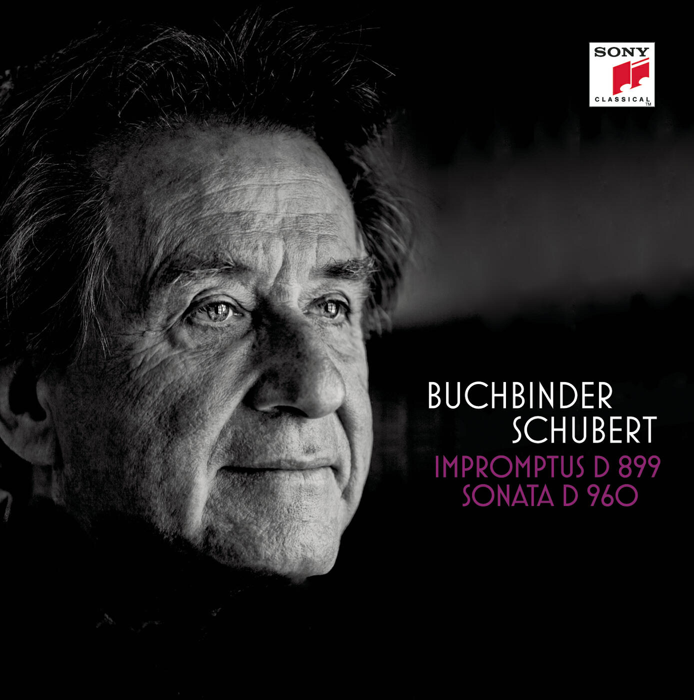 Релиз Schubert: Impromptus D 899, Sonate D 960