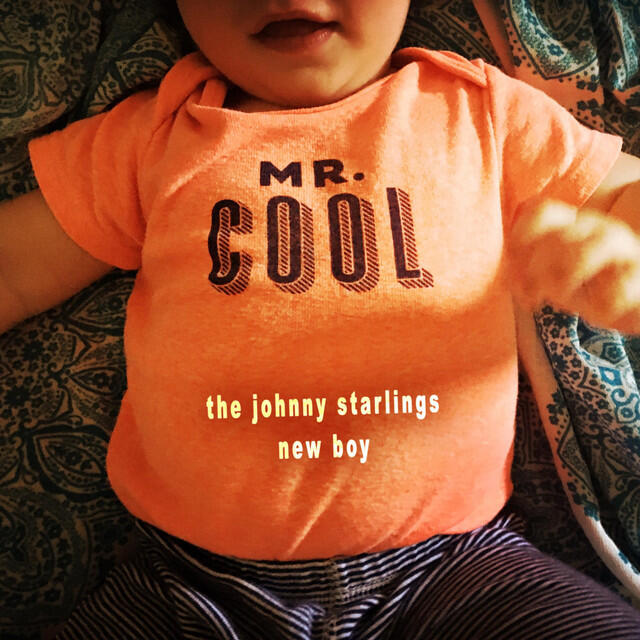 The Johnny Starlings