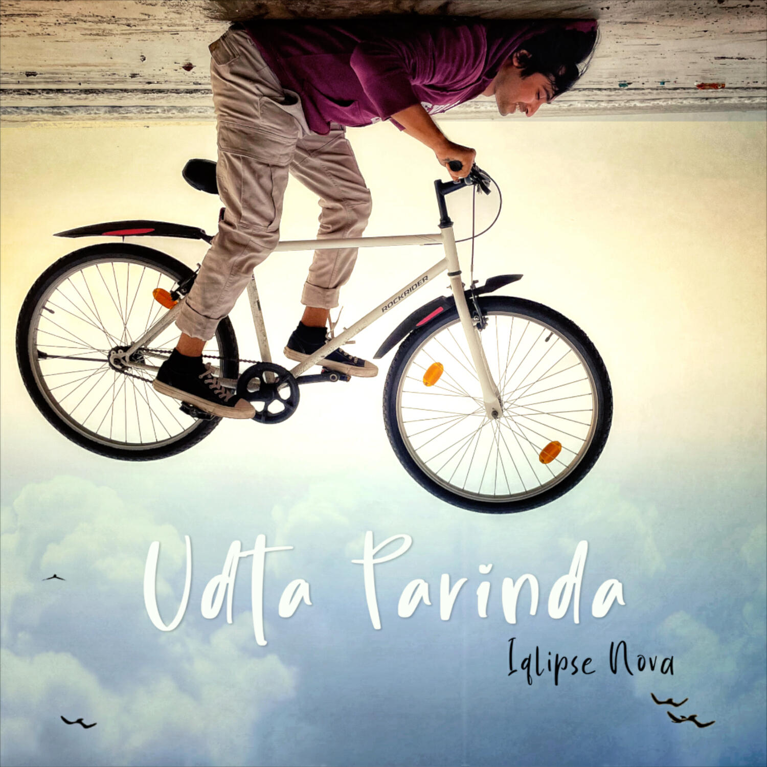 Релиз Udta Parinda