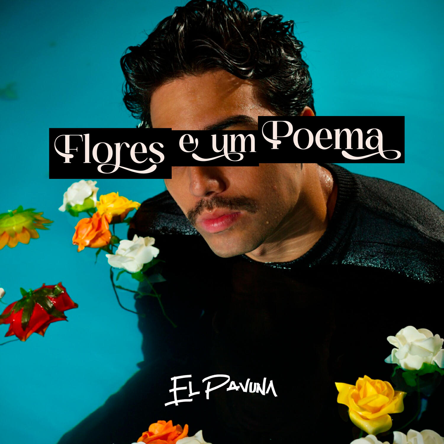 El Pavuna