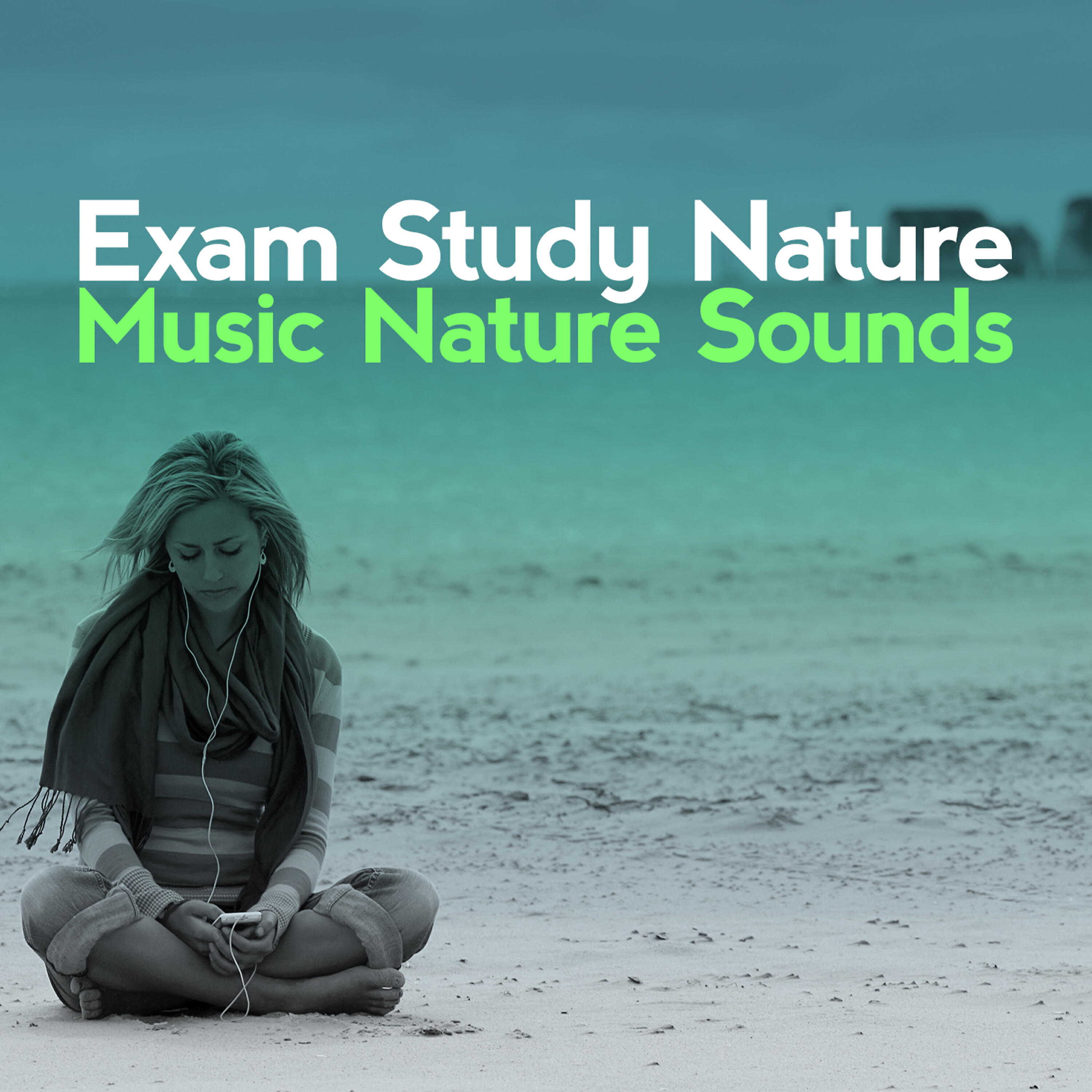 Релиз Exam Study Nature Music Nature Sounds
