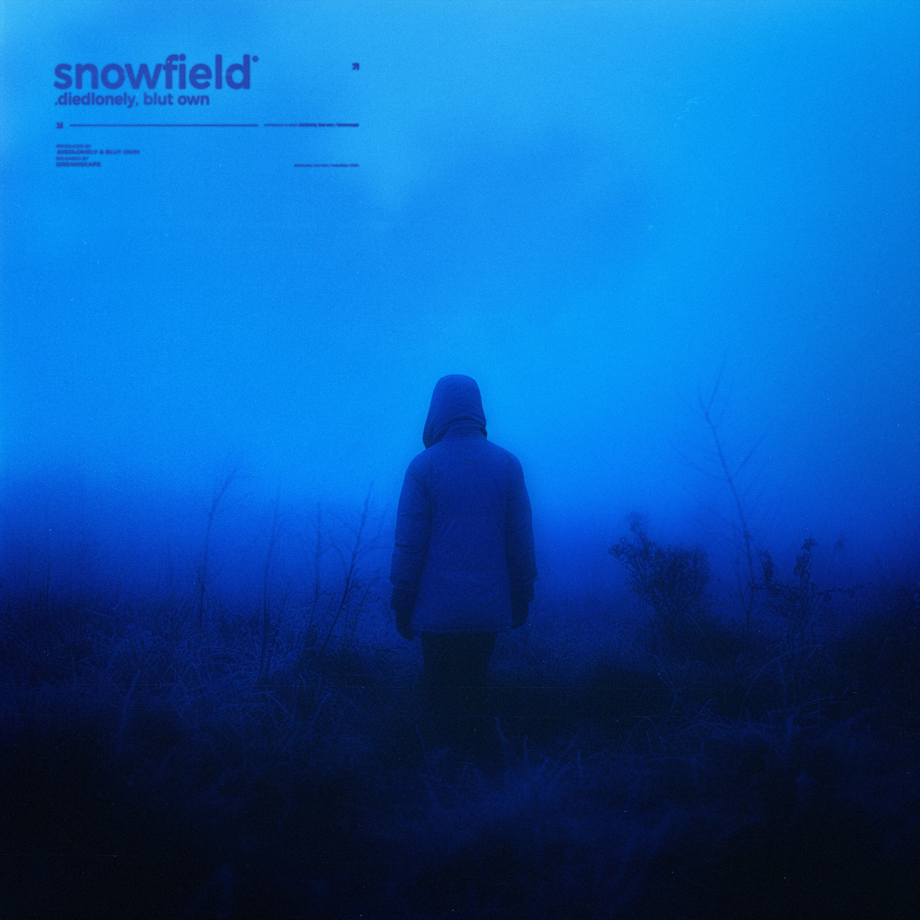 Релиз snowfield