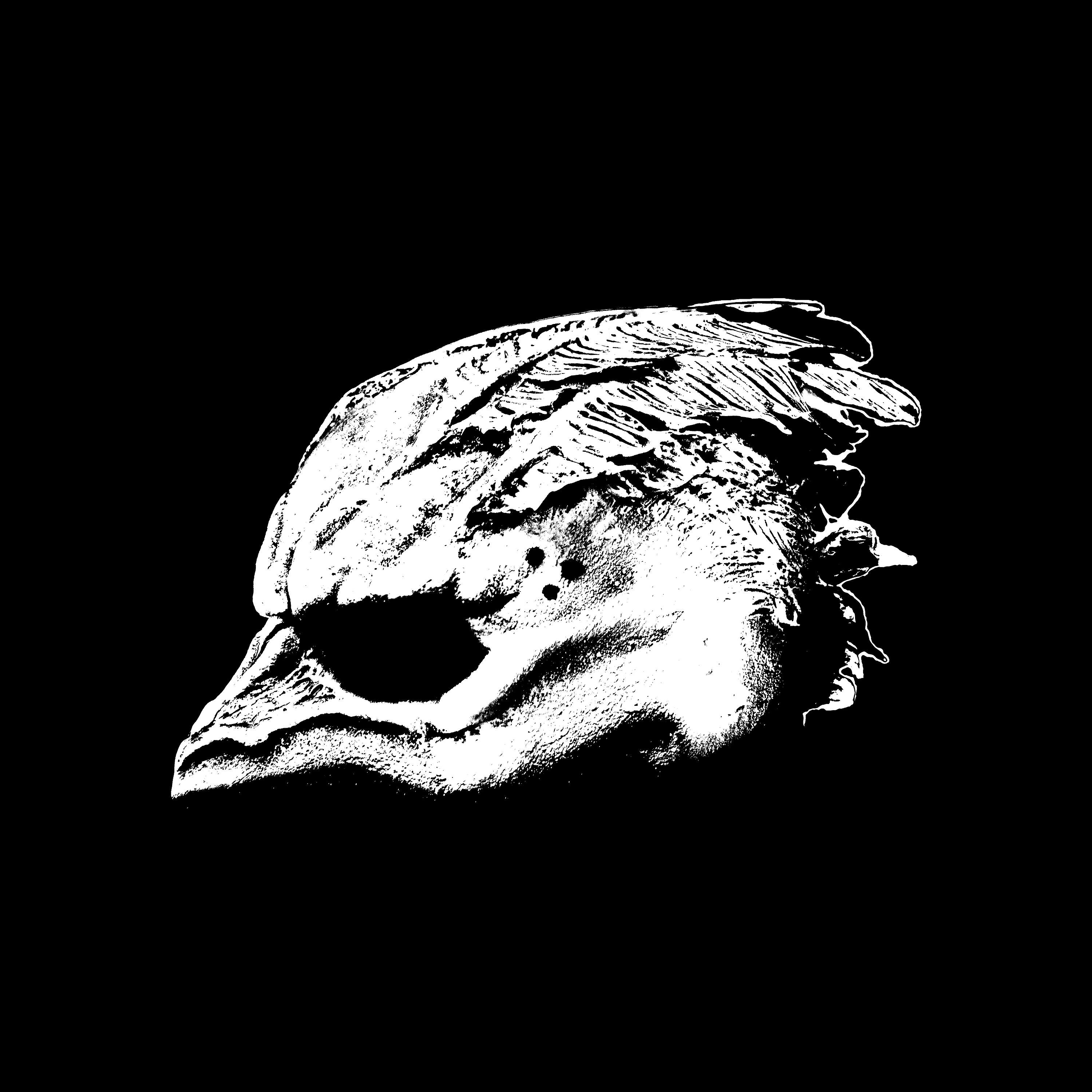 Релиз Legend of the Seagullmen
