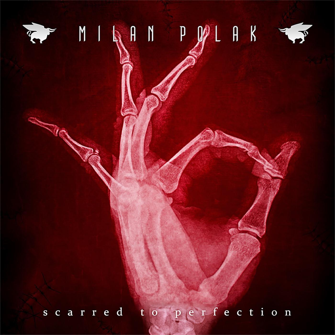 Релиз Scarred to Perfection
