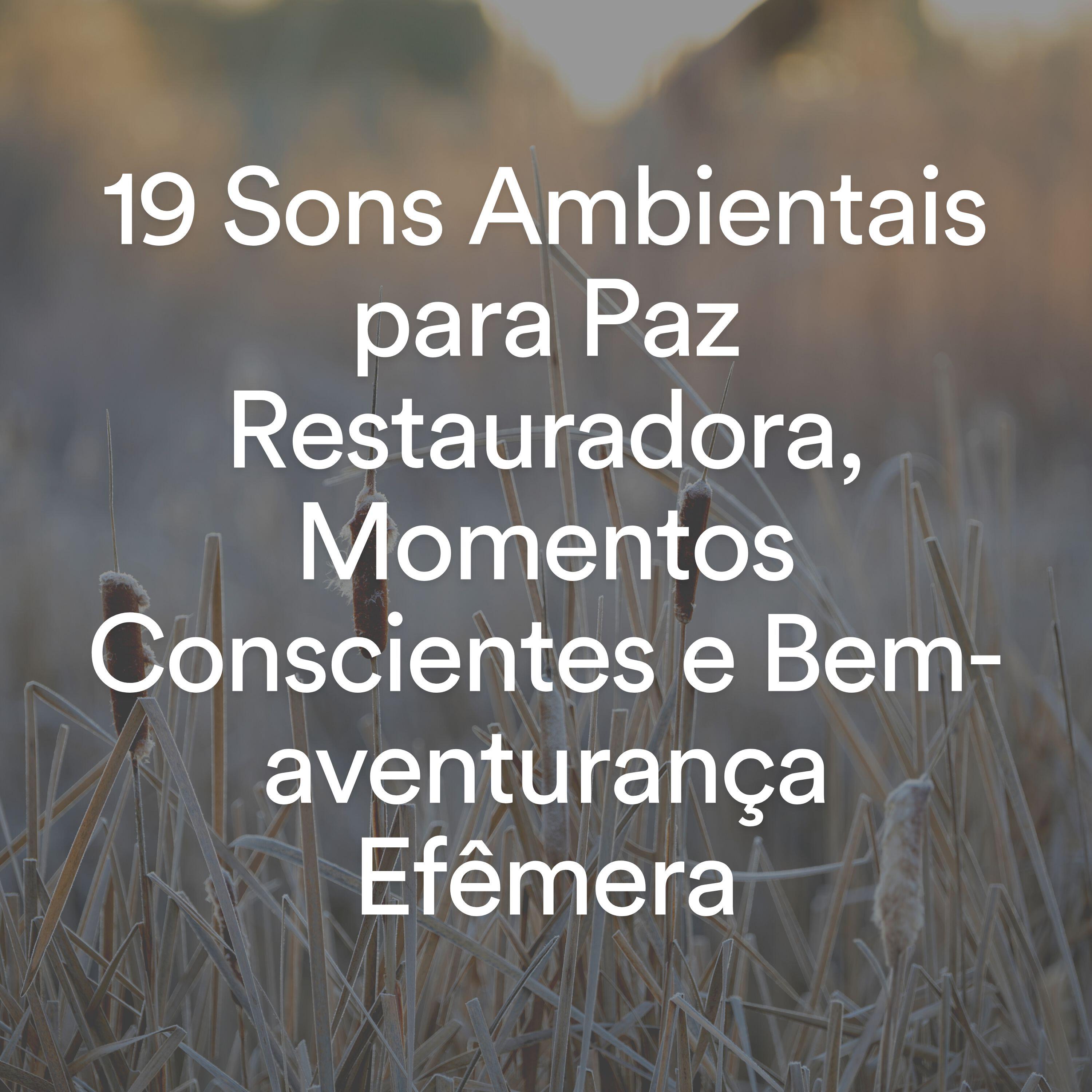 Релиз 19 Sons Ambientais para Paz Restauradora, Momentos Conscientes e Bem-aventurança Efêmera