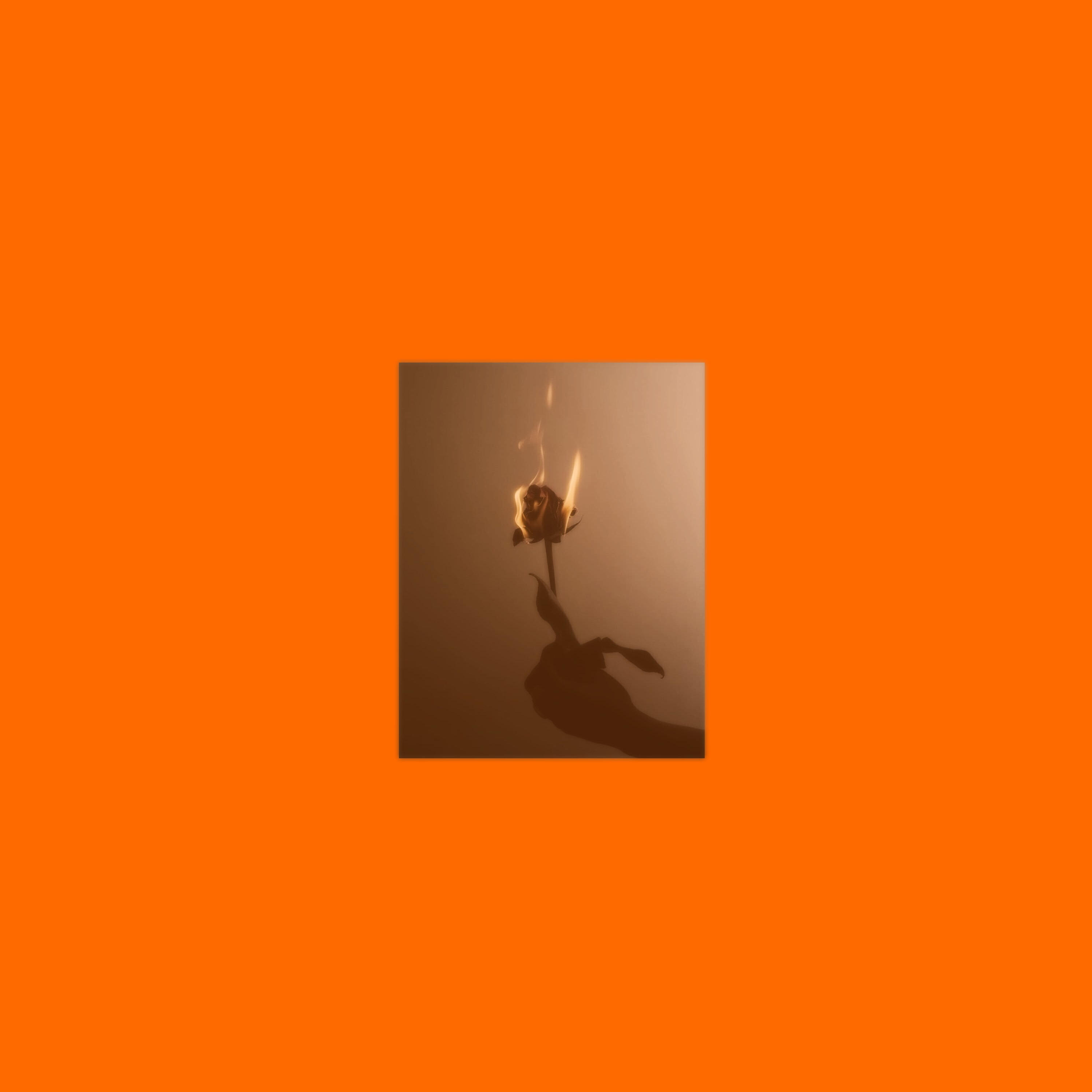 Релиз Wading EP