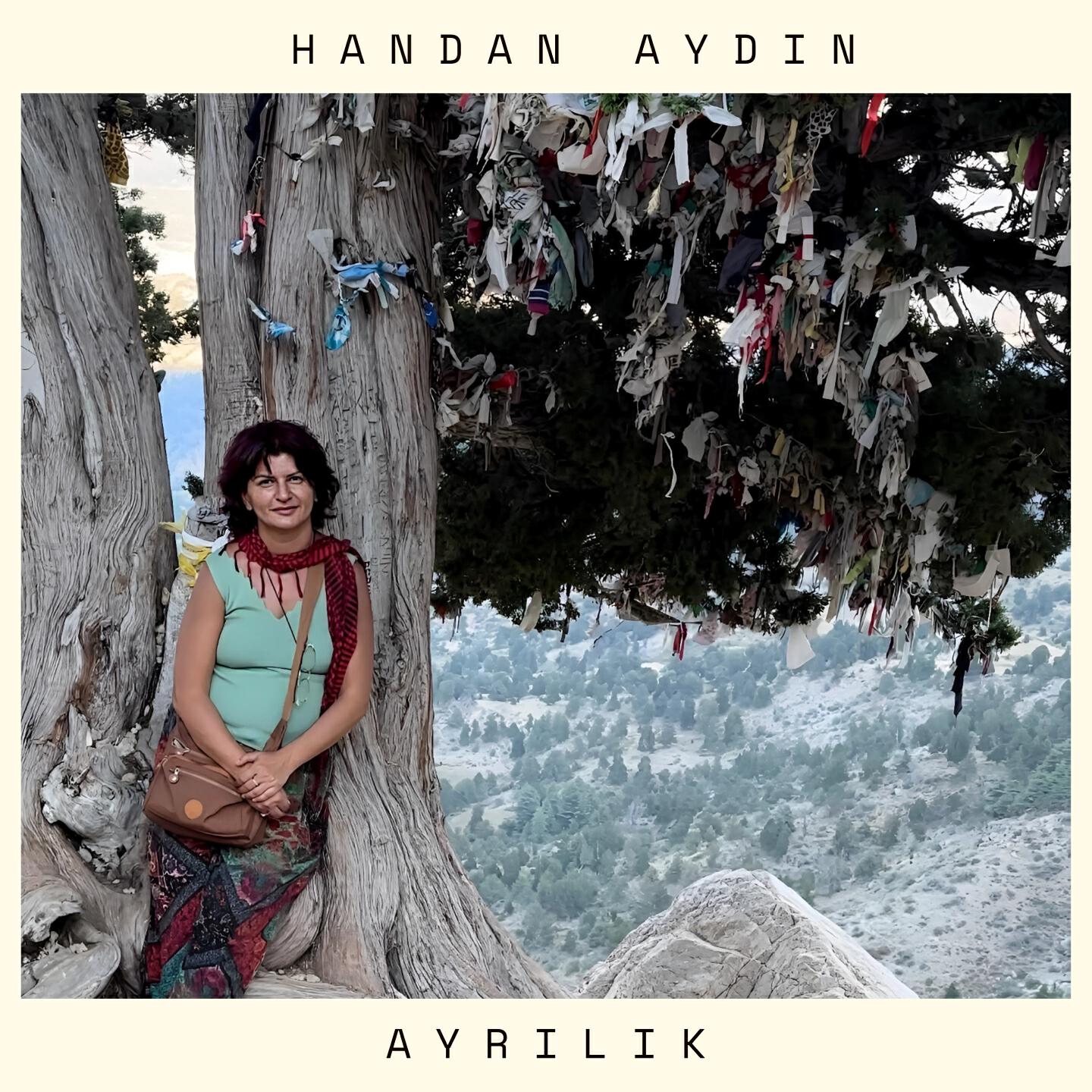 Релиз Ayrılık