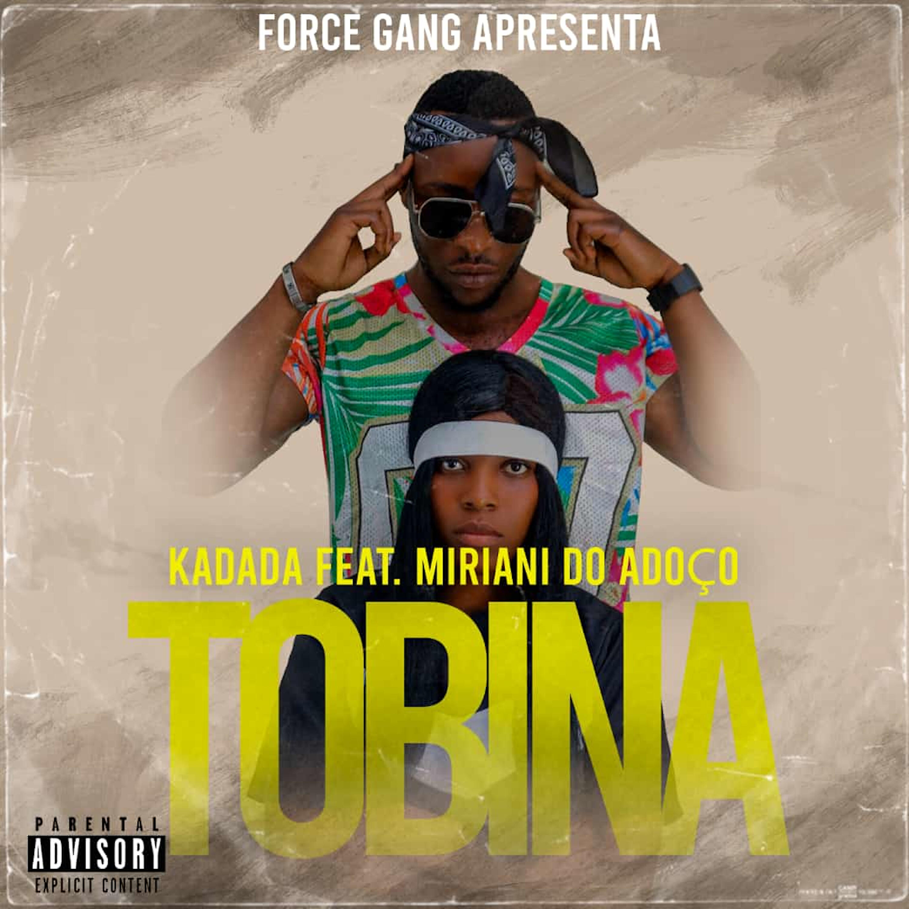 Релиз Tobina