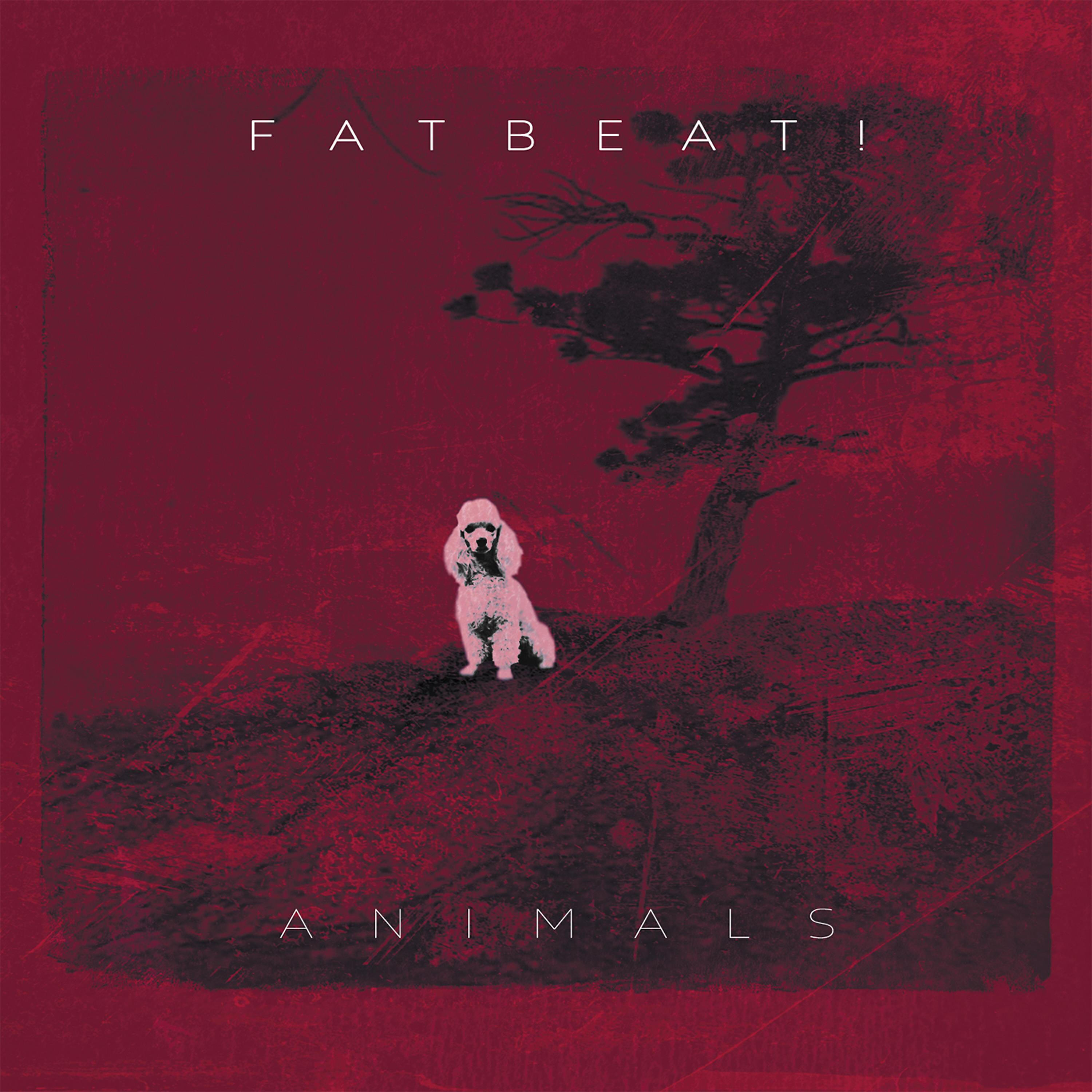 Релиз Animals