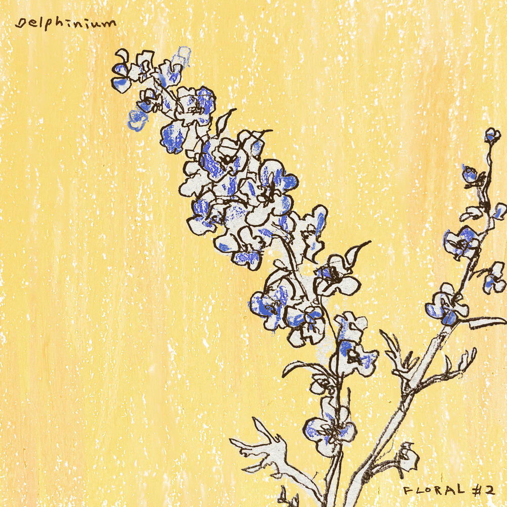Релиз Delphinium