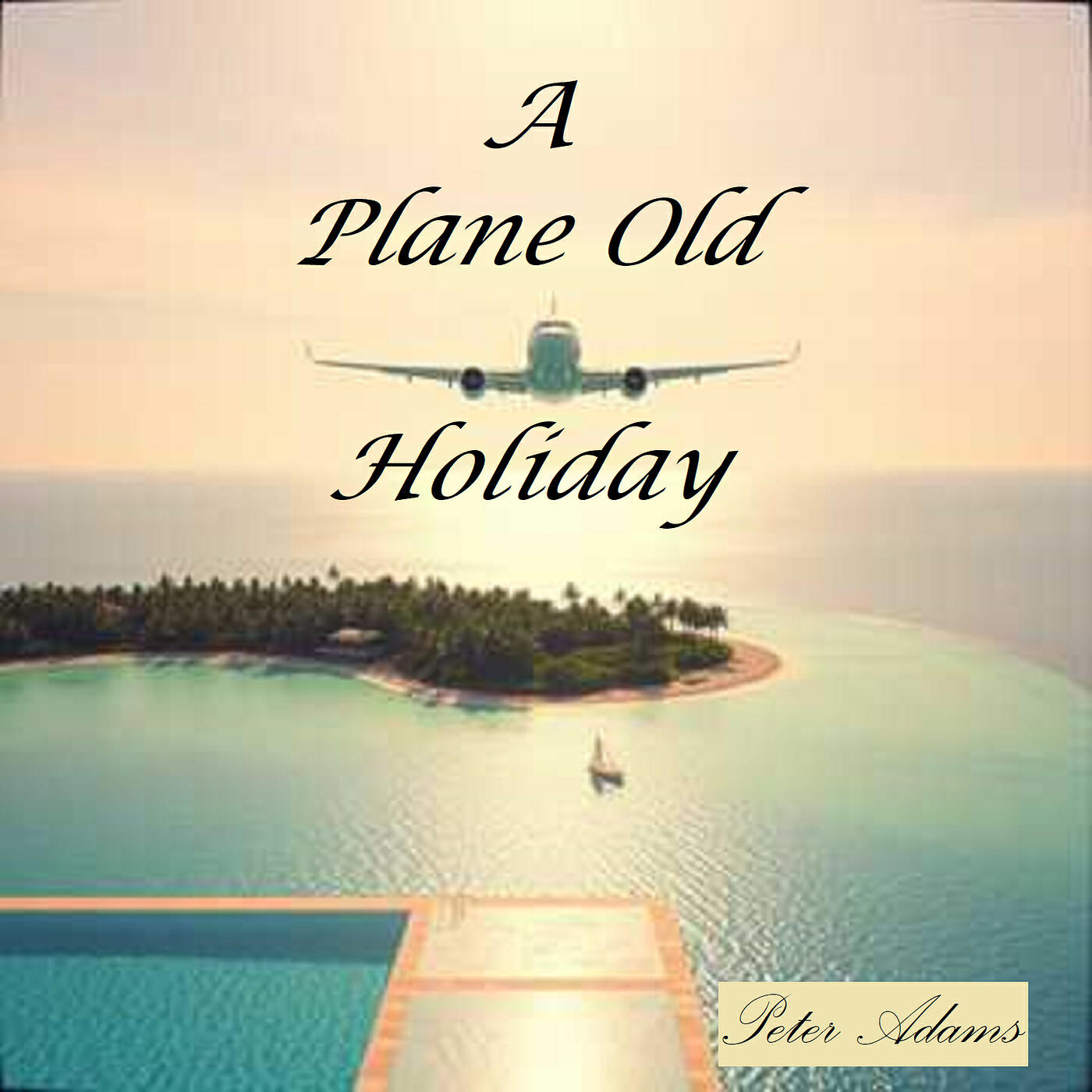 Релиз A Plane Old Holiday