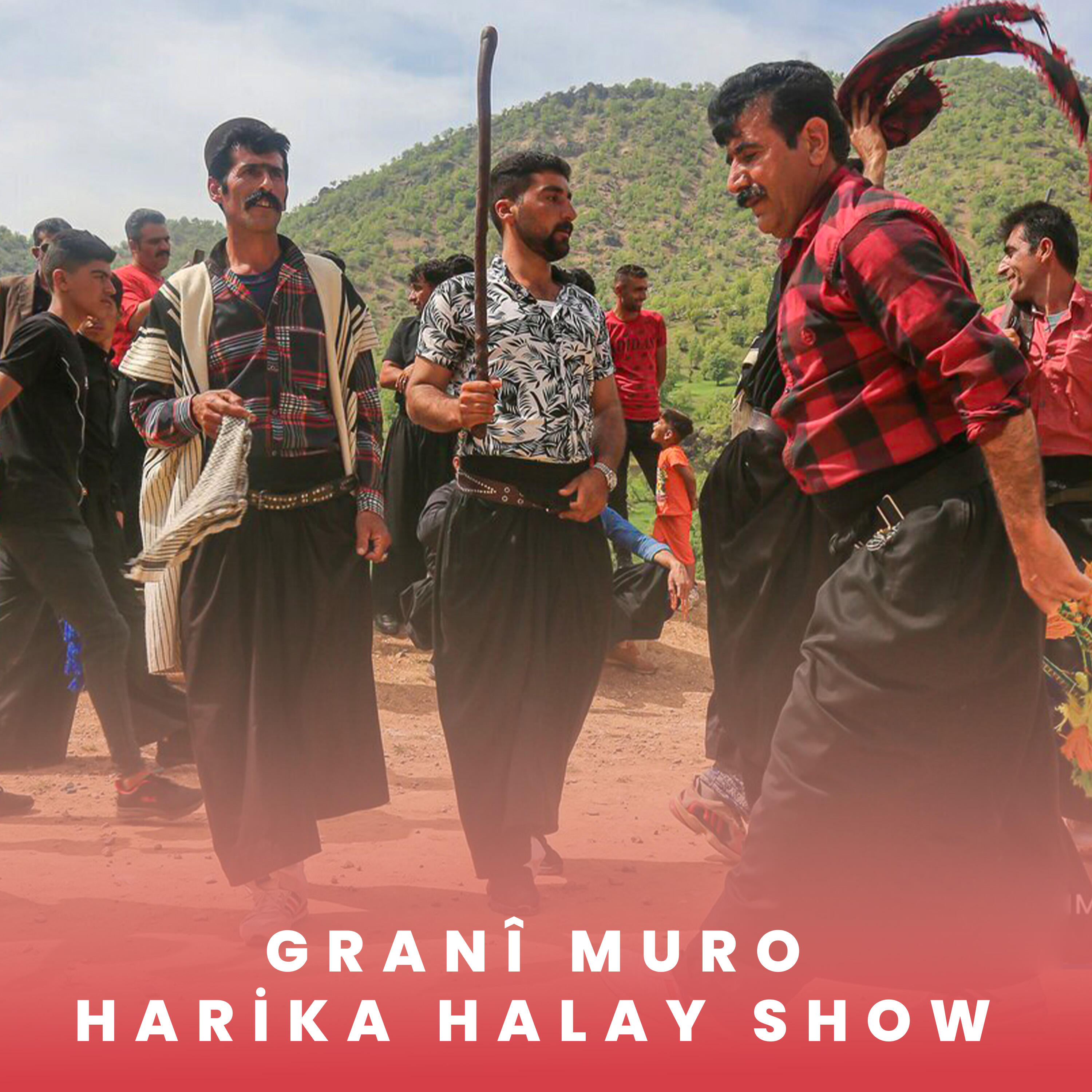 Релиз Harika Halay Show