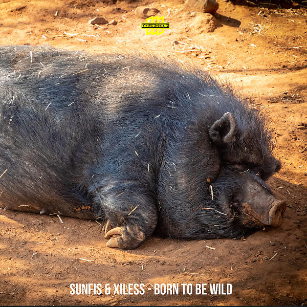 Релиз Born To Be Wild