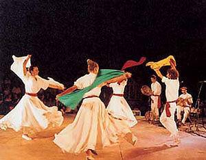 Arakne Mediterranea