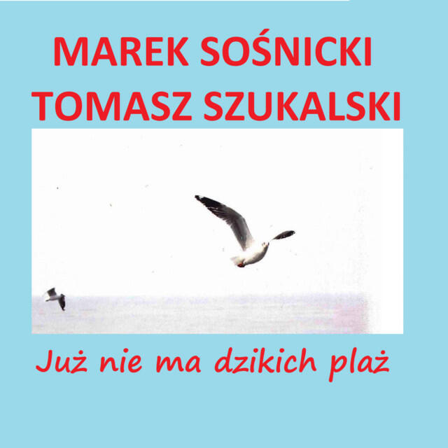 Релиз Już nie ma dzikich plaż (Radio Edit)
