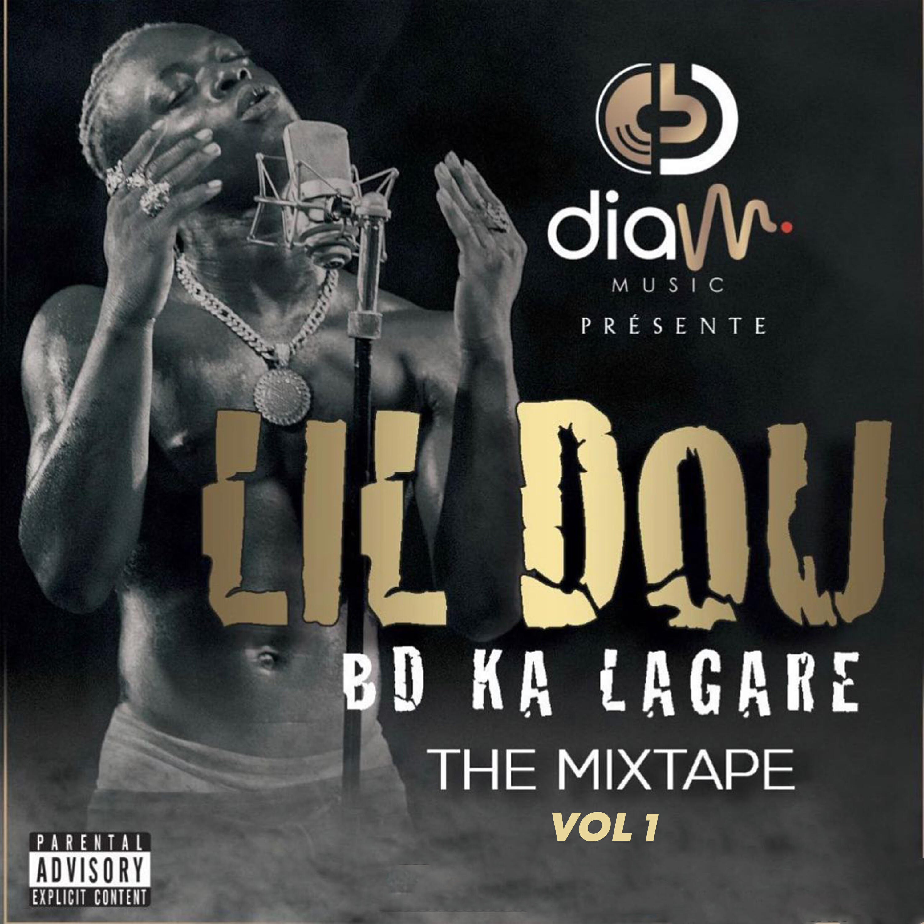 Релиз BD ka lagaré (Vol 1)