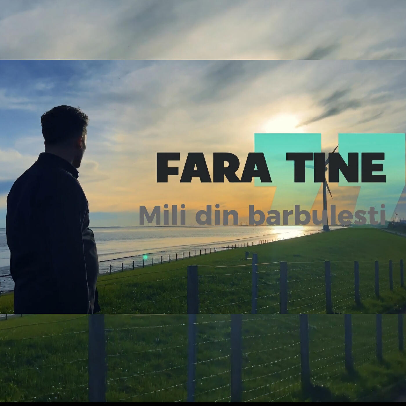 Релиз Fără Tine
