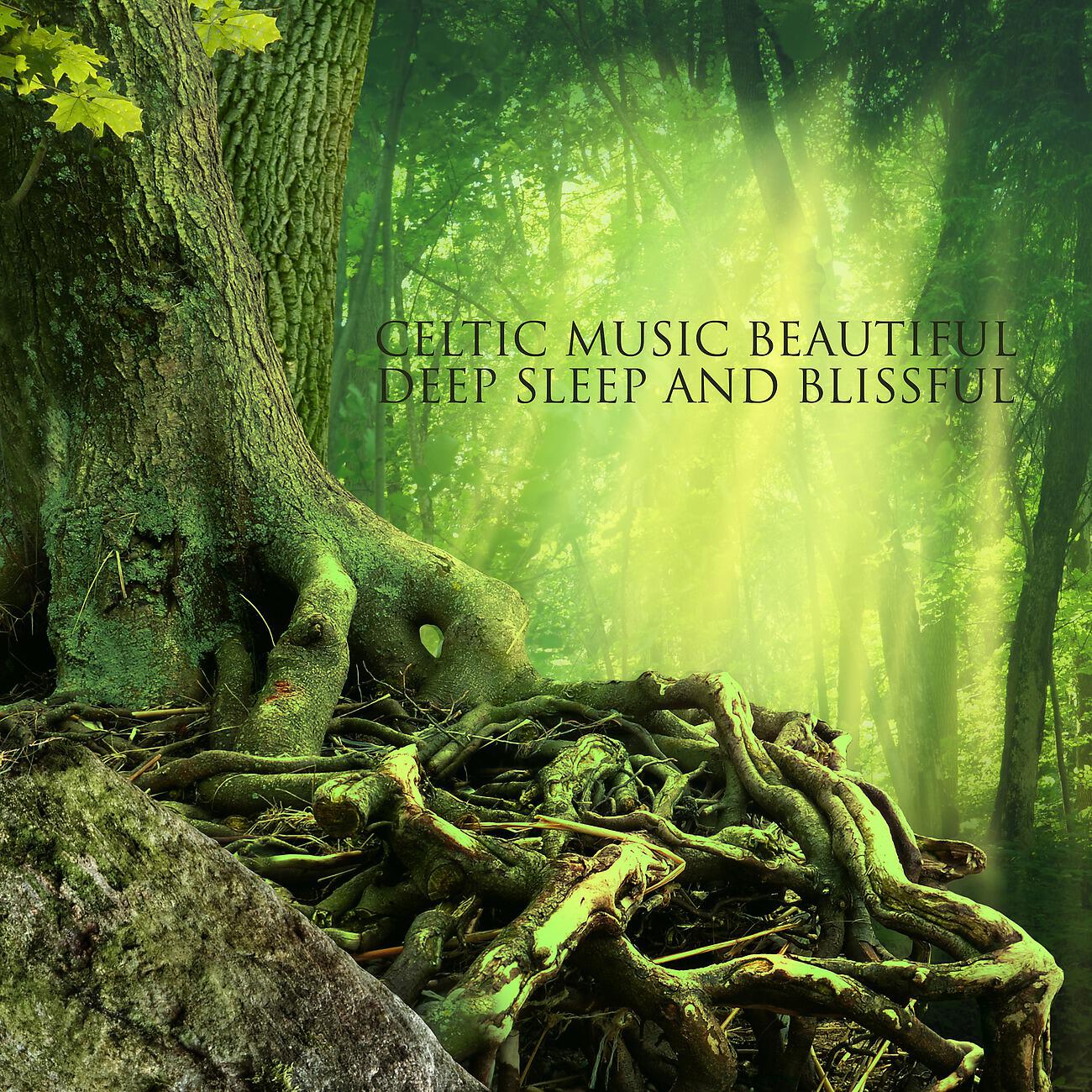 Релиз Celtic Music Beautiful