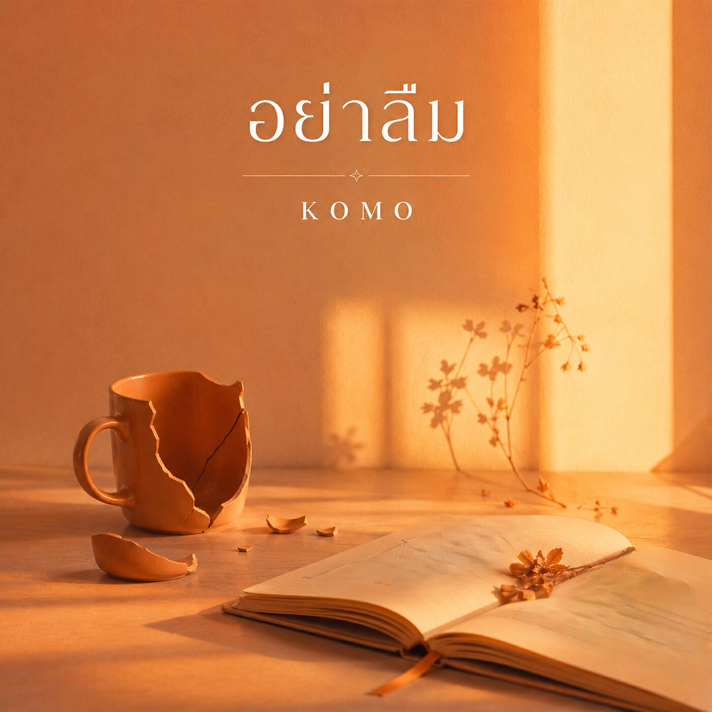 Релиз อย่าลืม