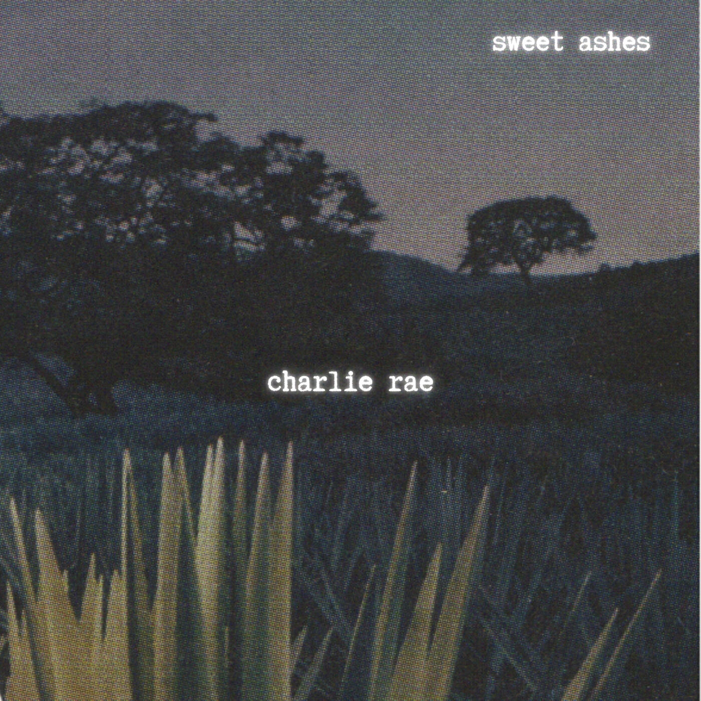 Релиз Sweet Ashes