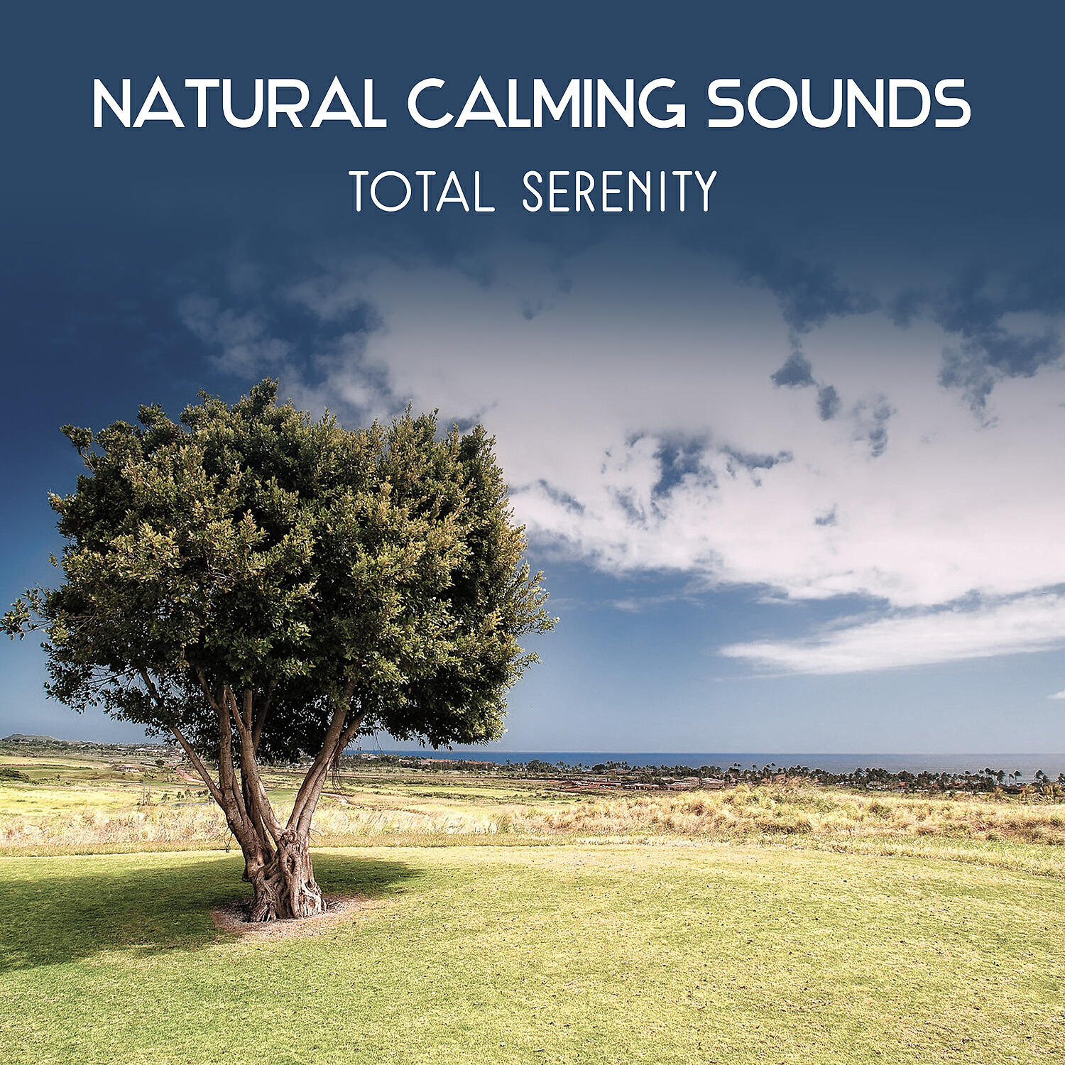 Релиз Natural Calming Sounds – Total Serenity, Blissful Music for Relaxation with Ocean Waves, Birds, River, Wolves, Crickets, Wind, Rain, Dolphins