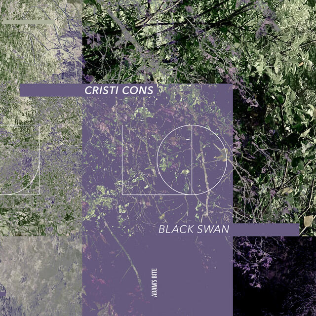 Релиз Black Swan
