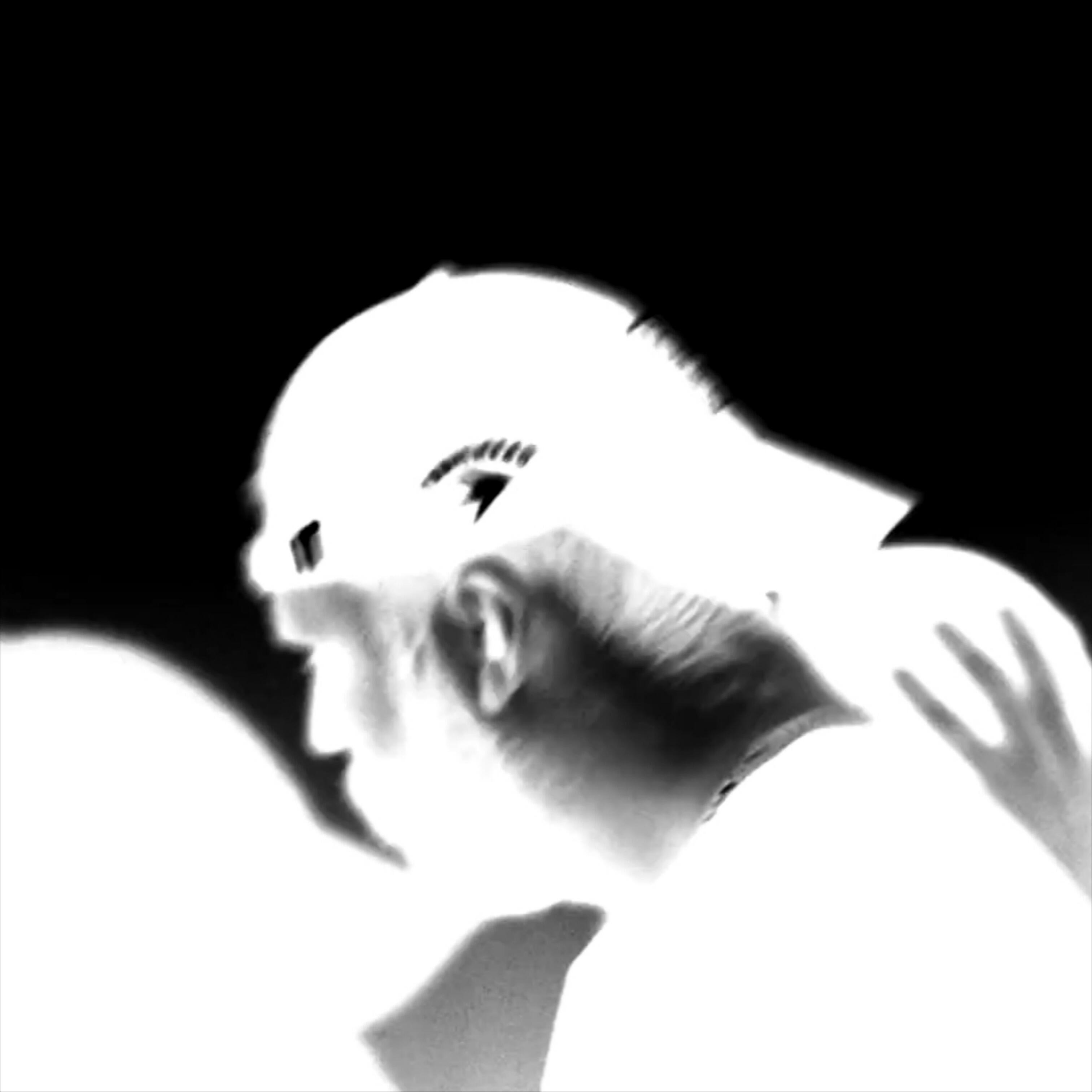Релиз Reptile