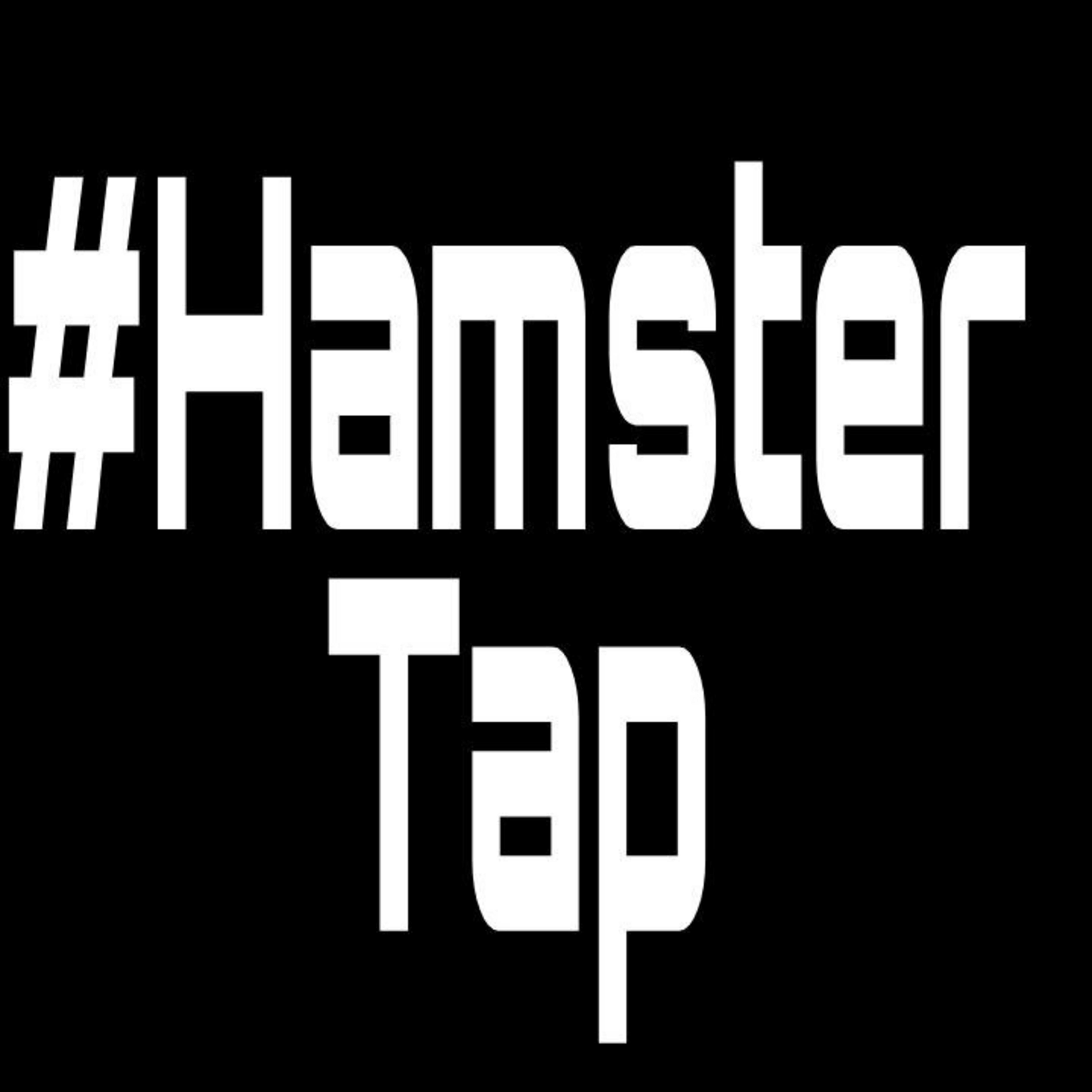 Постер альбома Hamster Tap