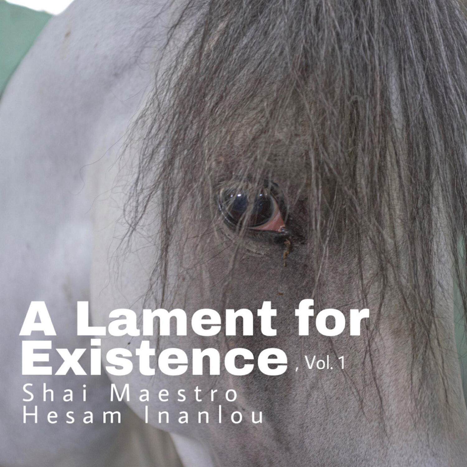 Релиз A Lament for Existence, Vol. 1