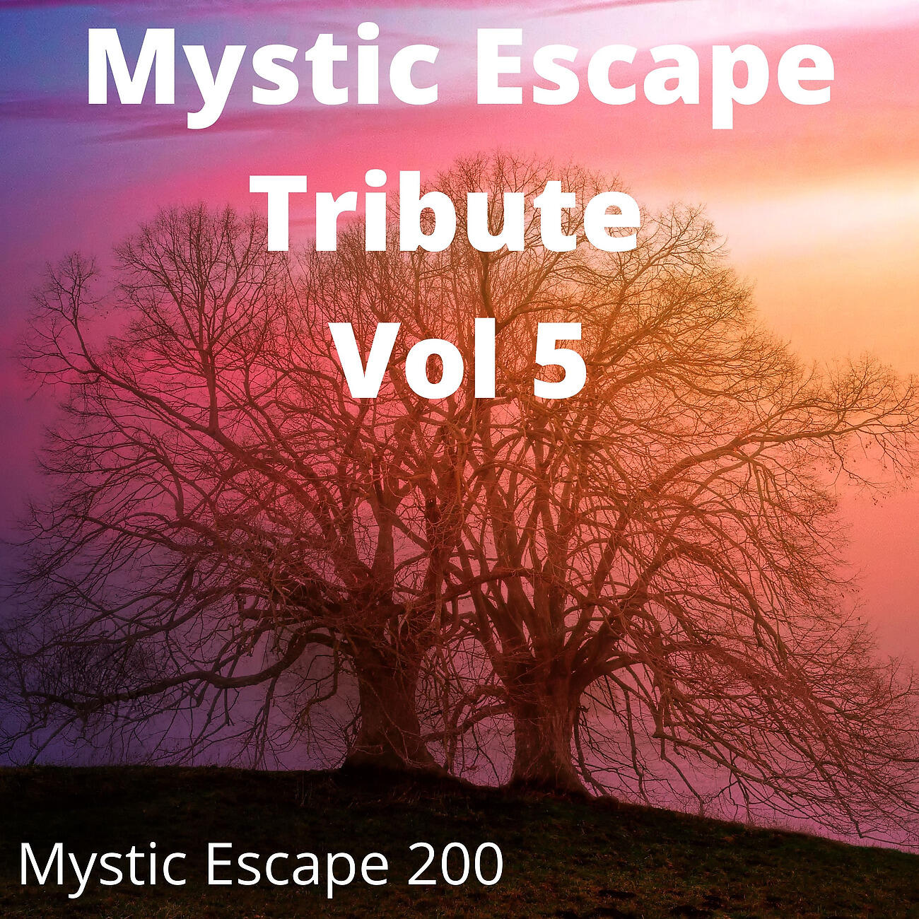 Релиз Mystic Escape Tribute Vol 5
