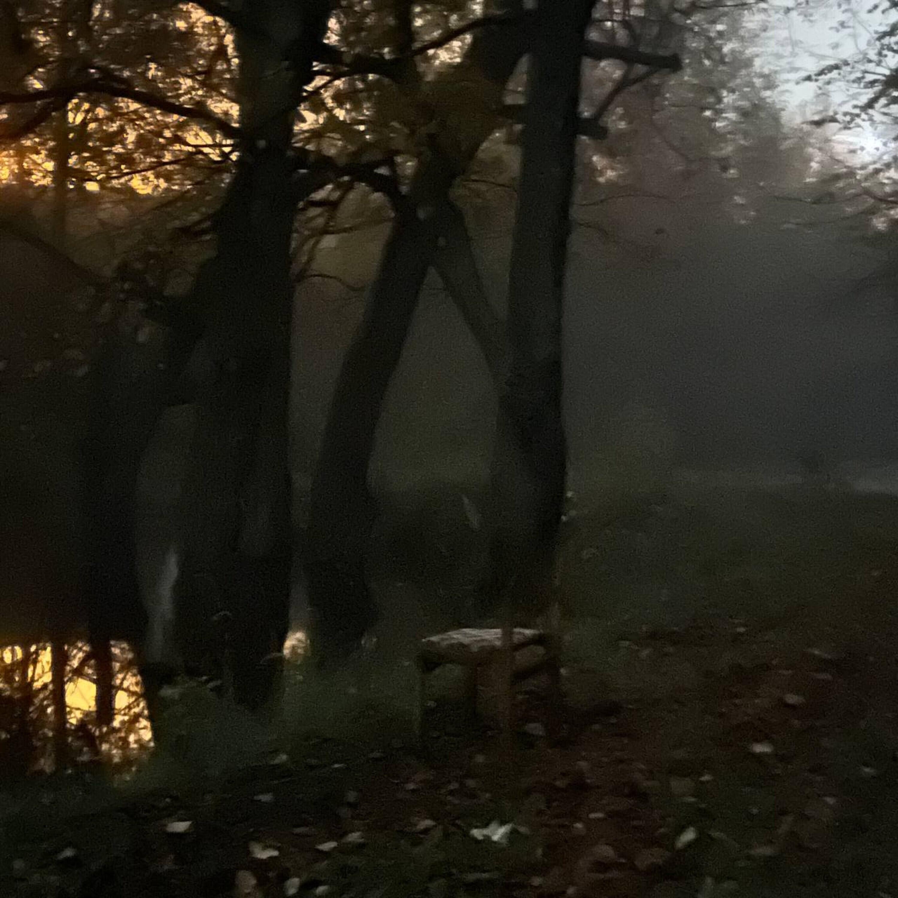 Релиз Очень странные тела