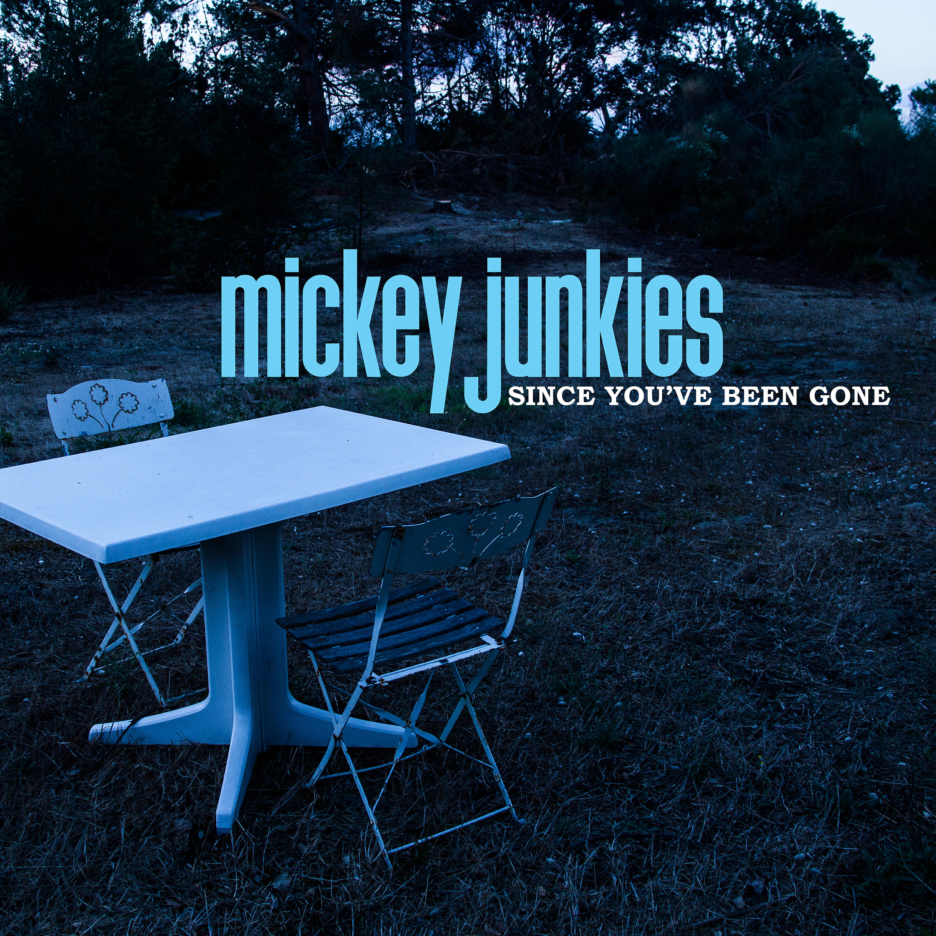 Mickey Junkies