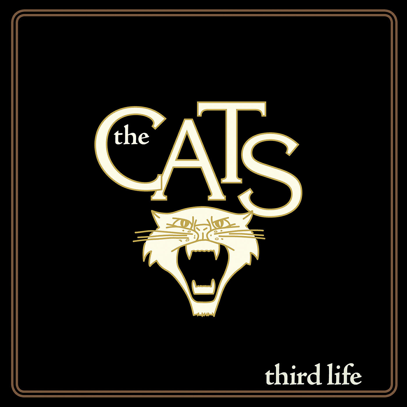 Релиз Third Life
