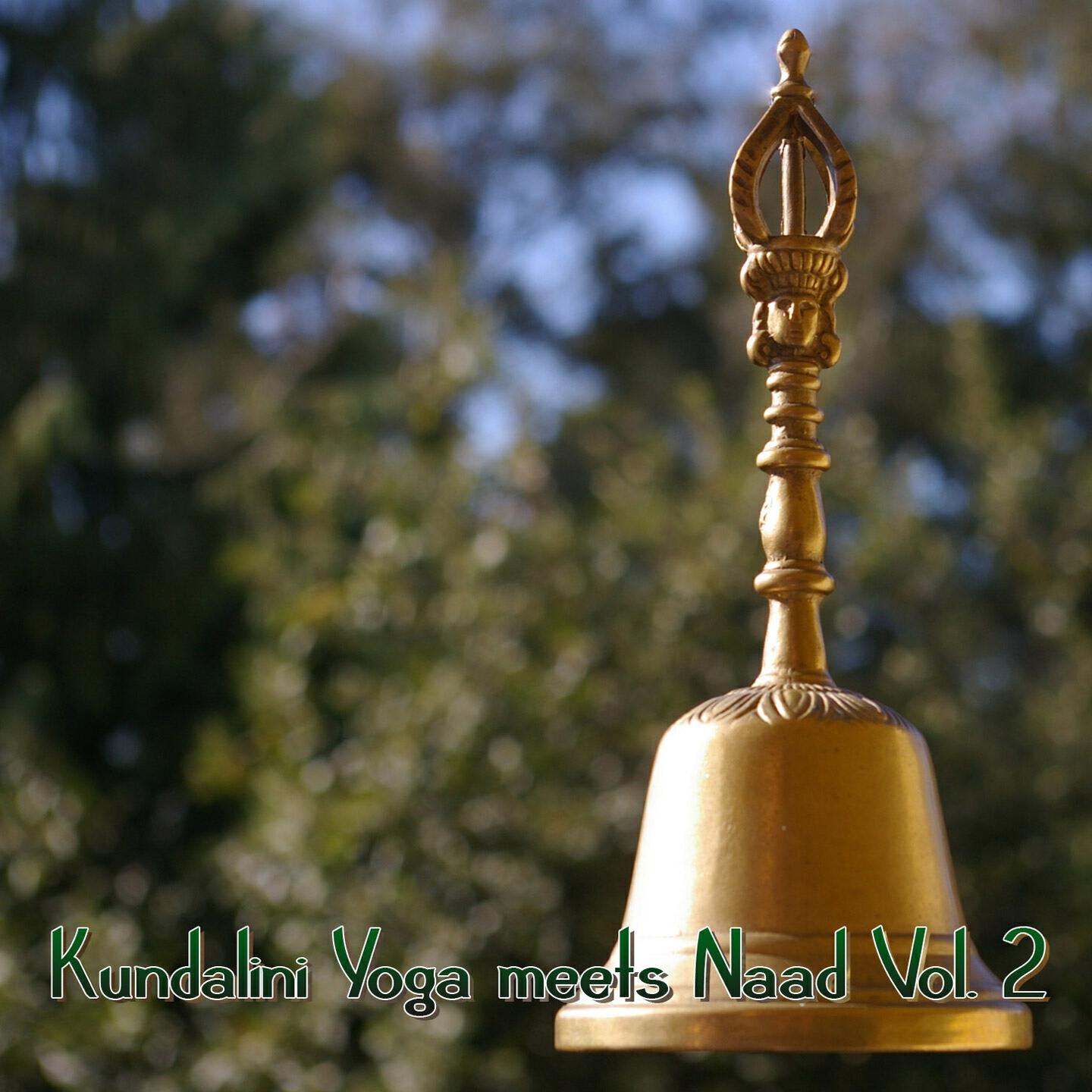 Релиз Kundalini Yoga Meets Naad, Vol. 2
