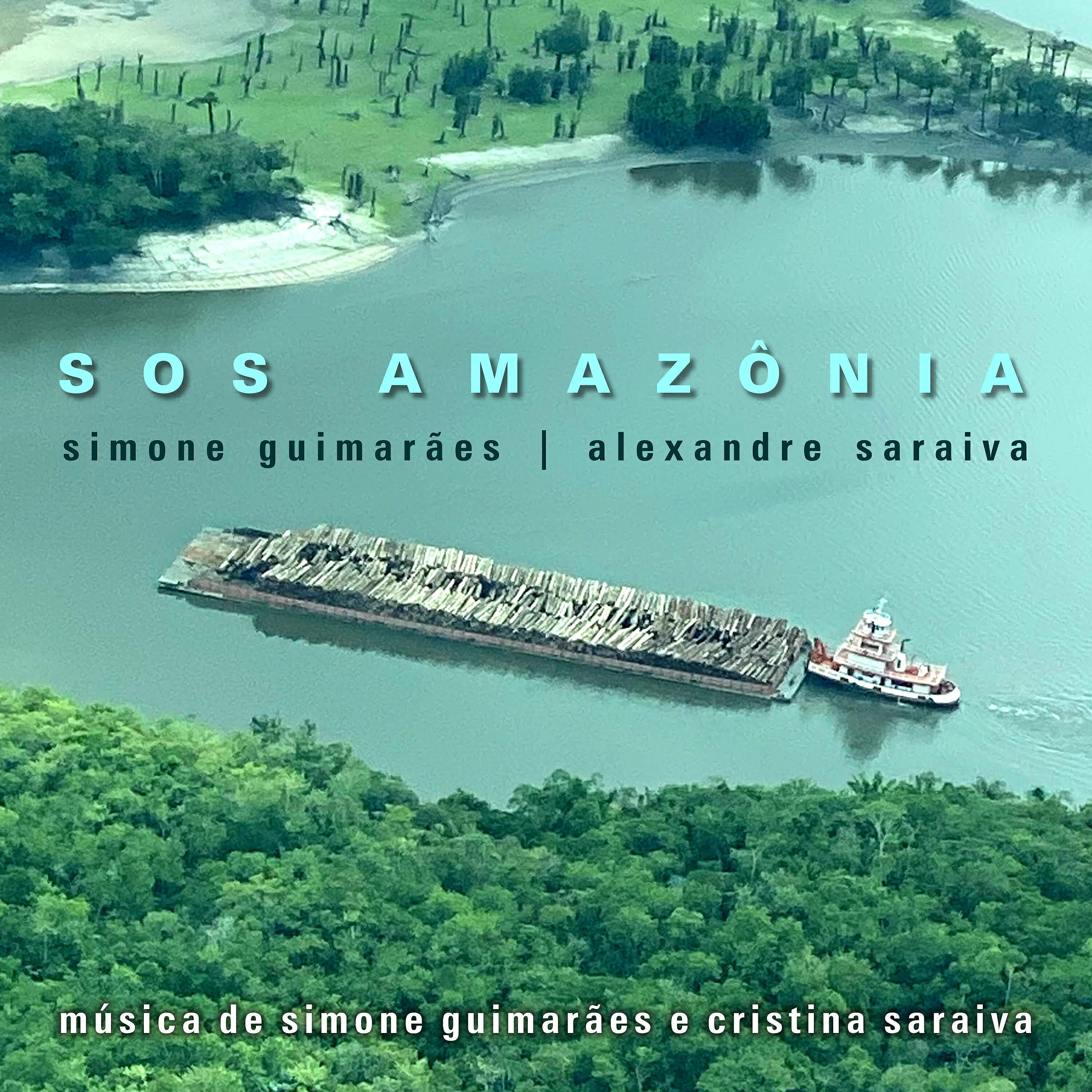 Релиз Sos Amazônia