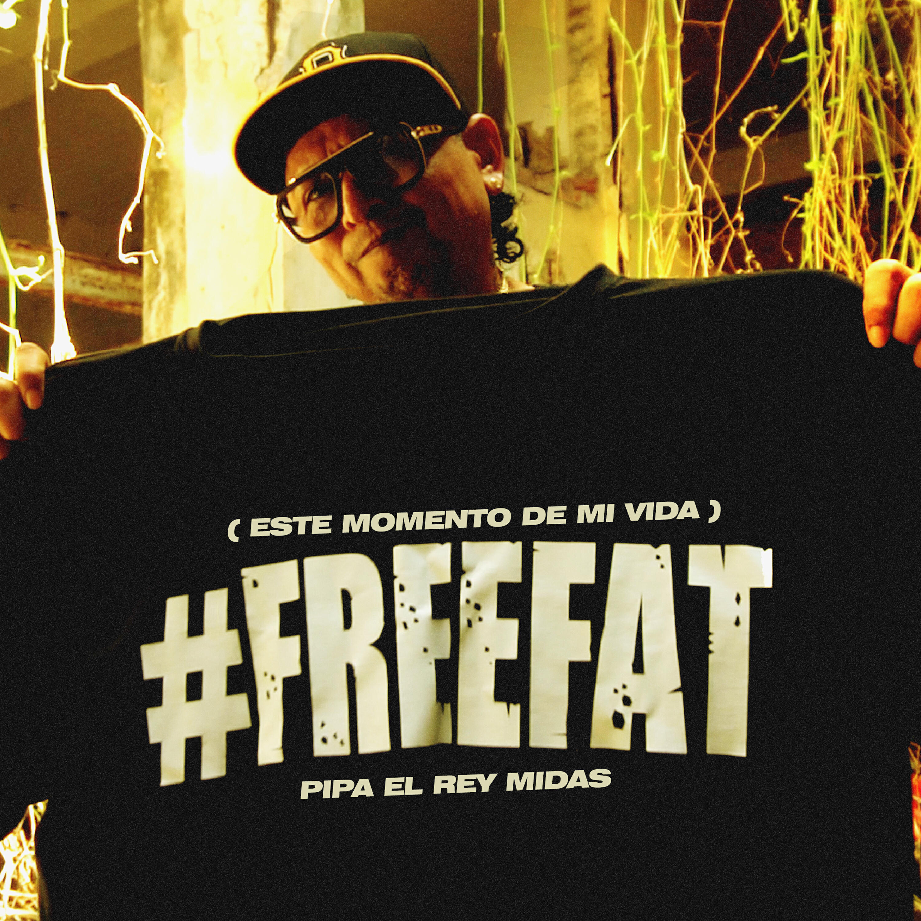 Релиз Este Momento de Mi Vida (#FreeFat )