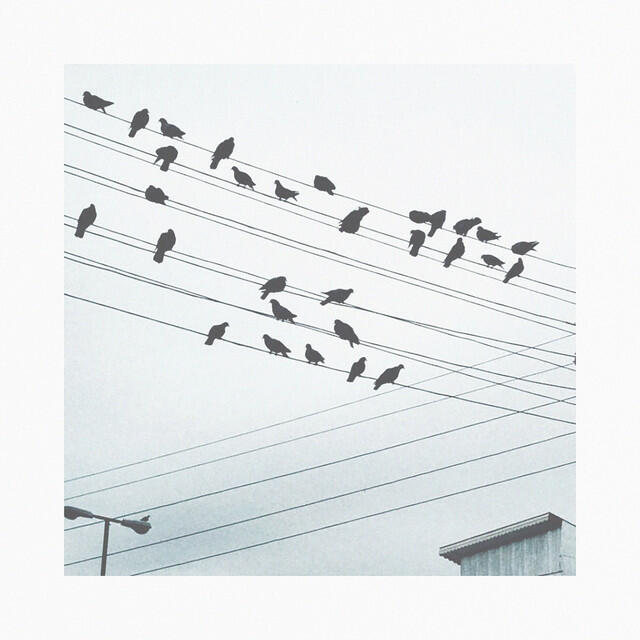 Релиз Crow Familia, Two