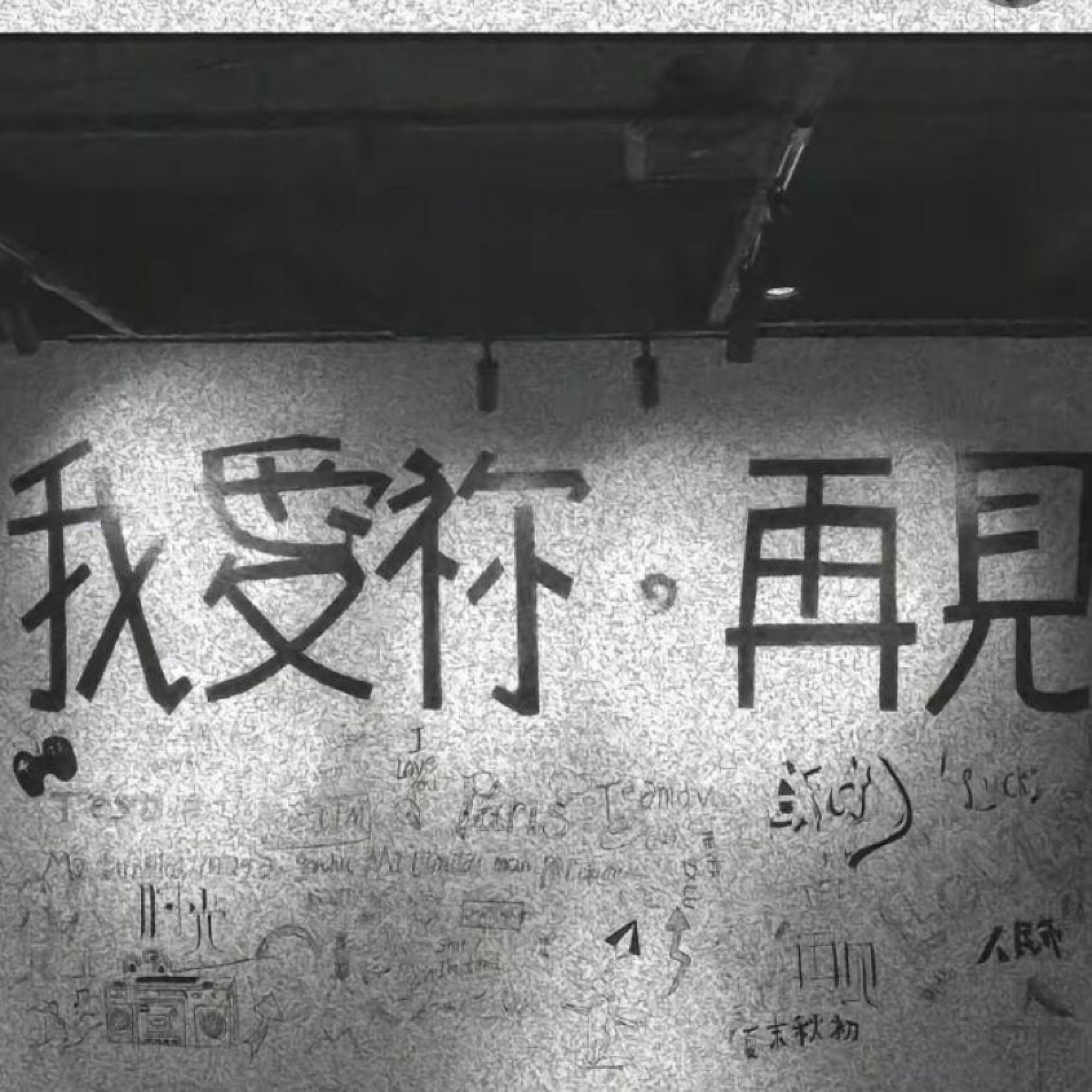 Трек 迟来的深情比草都贱