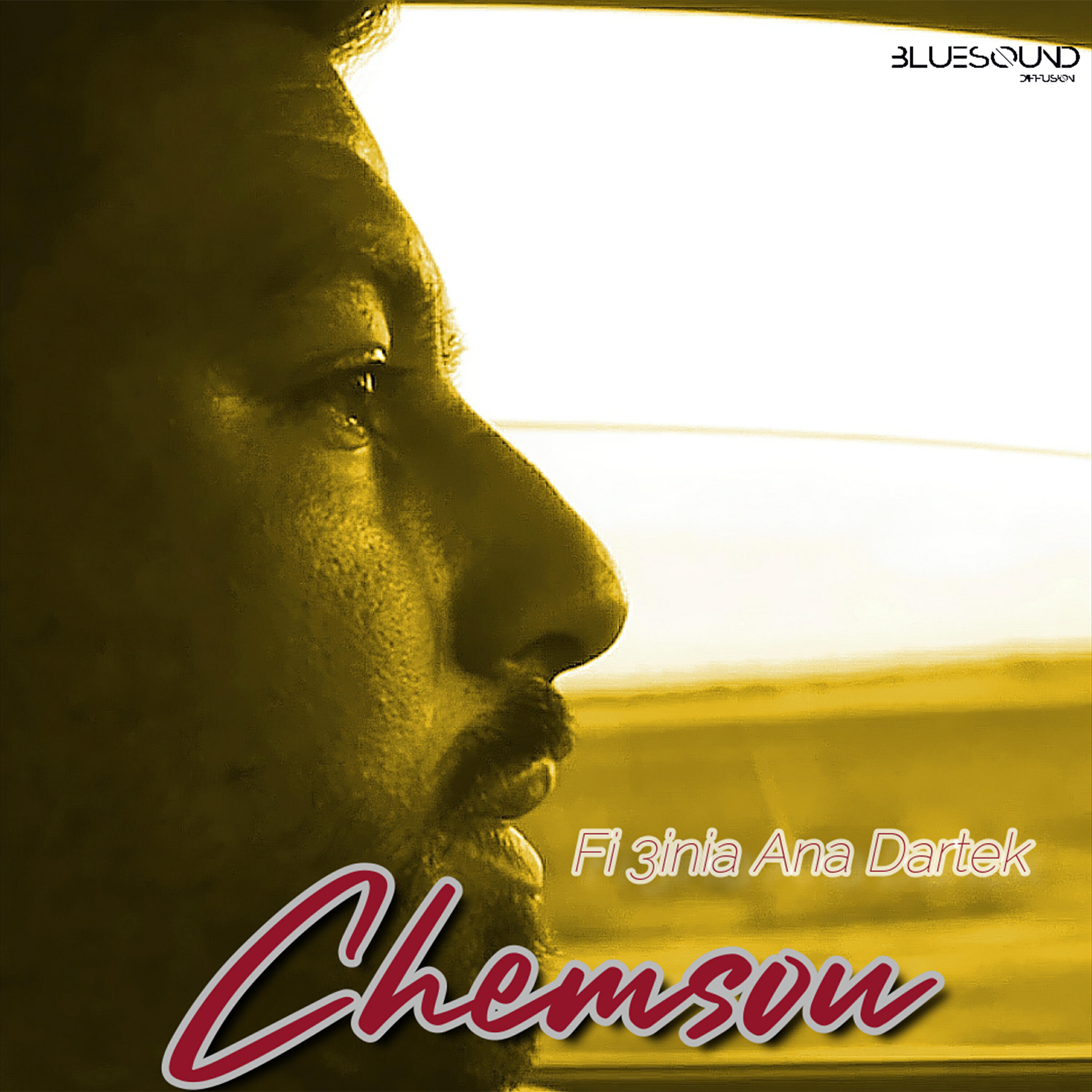 Chemsou