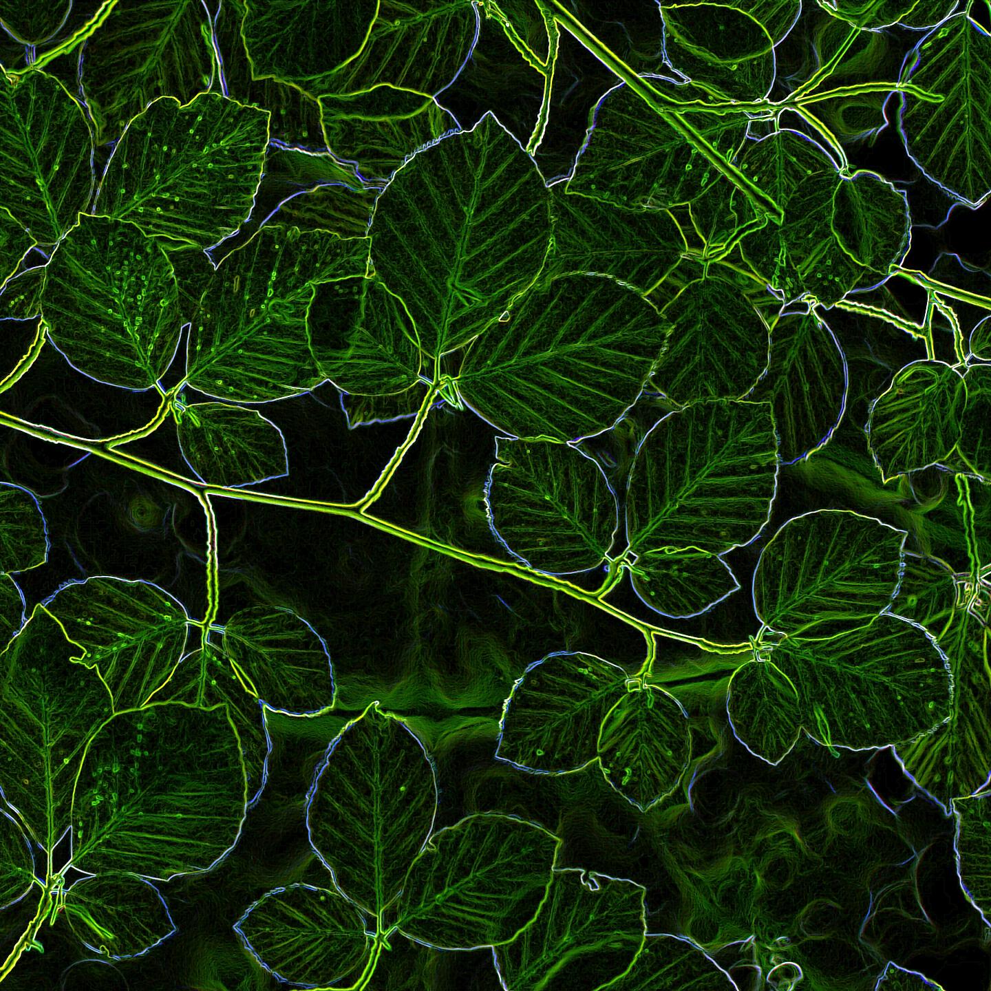 Релиз Green Wood