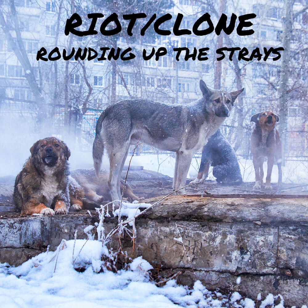 Релиз Rounding Up the Strays
