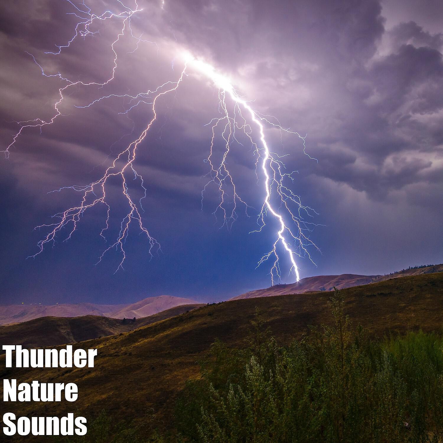 Релиз Thunder Nature Sounds