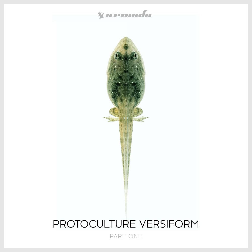 Релиз Versiform (Part One)