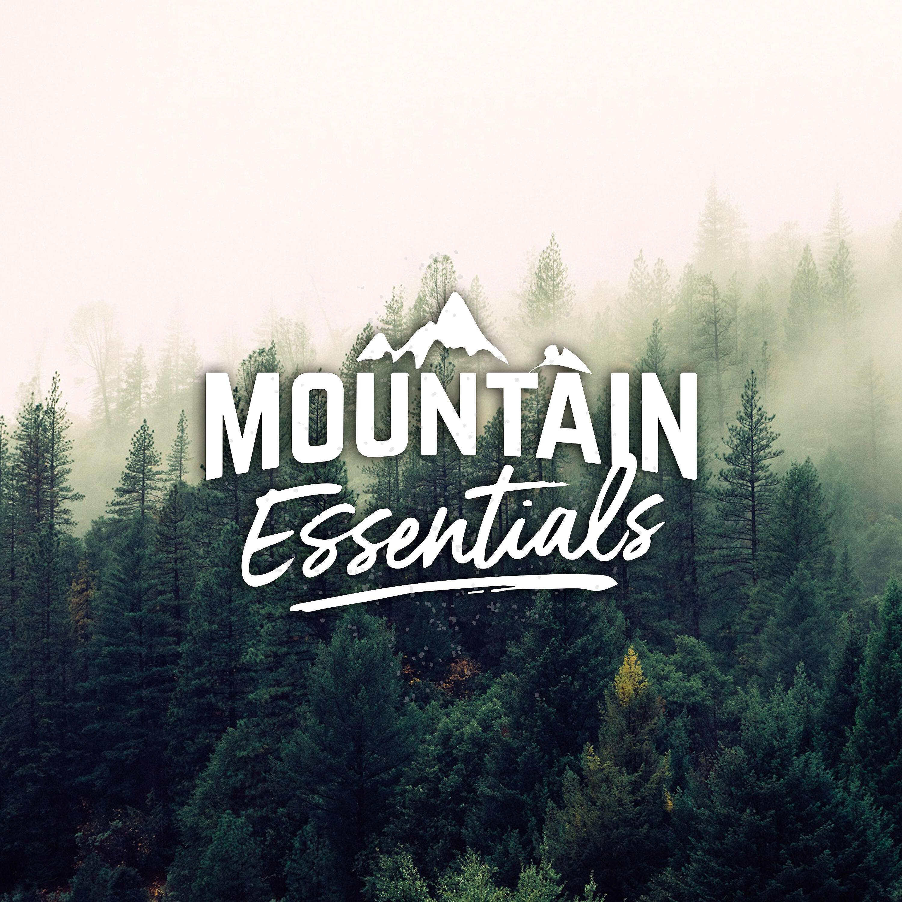 Релиз Mountain Essentials (Instrumentals)